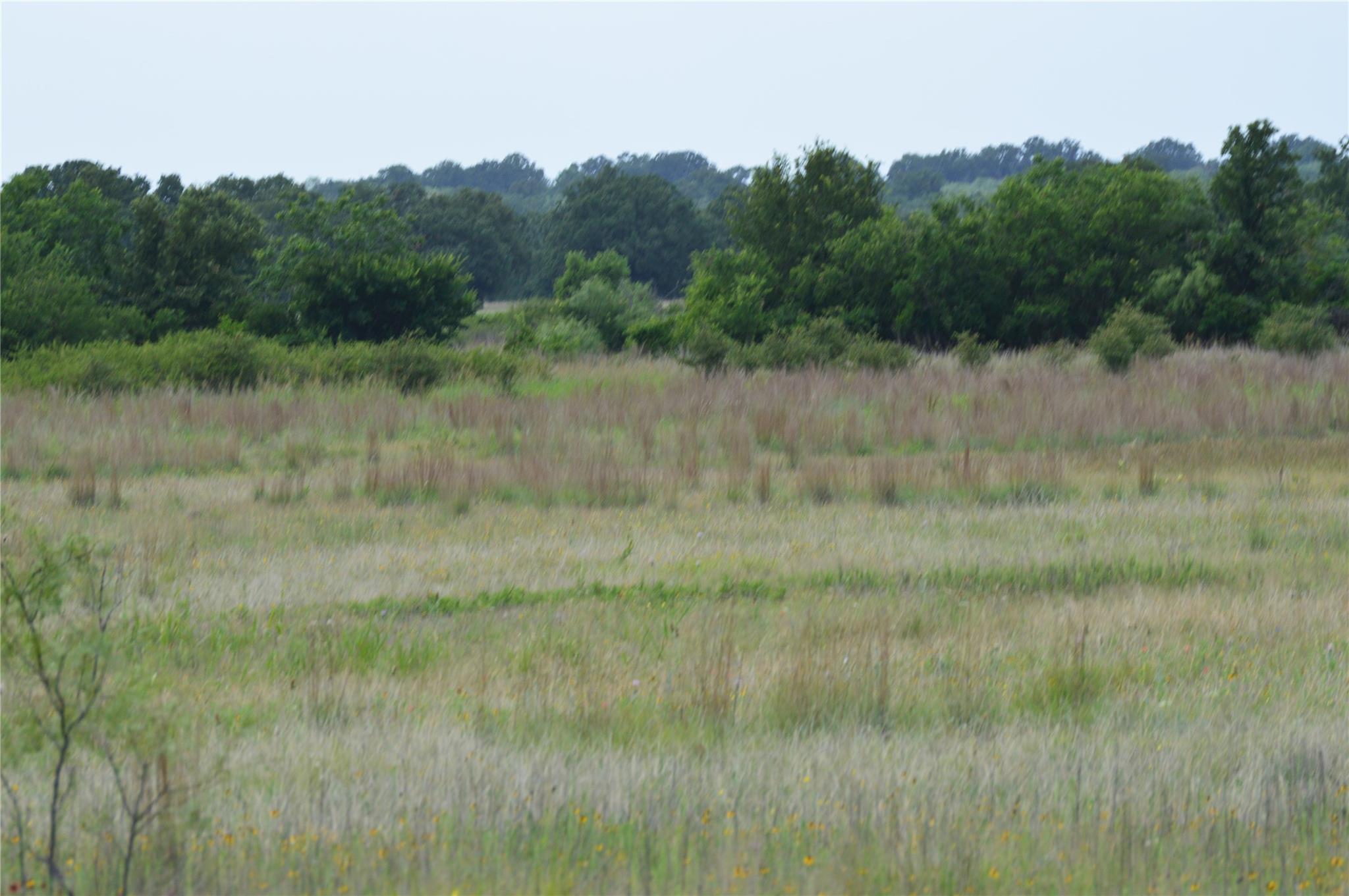 TBD County Road 400, Eastland, TX 76437