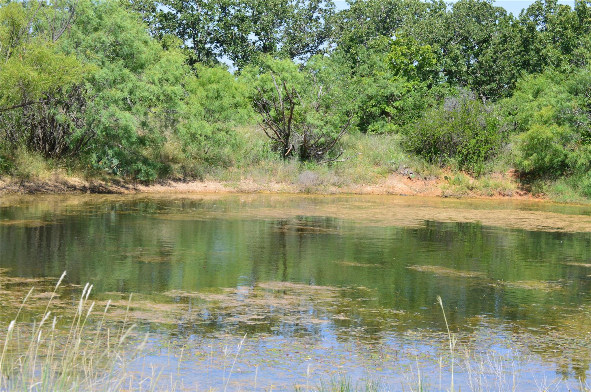 TBD County Road 400, Eastland, TX 76437