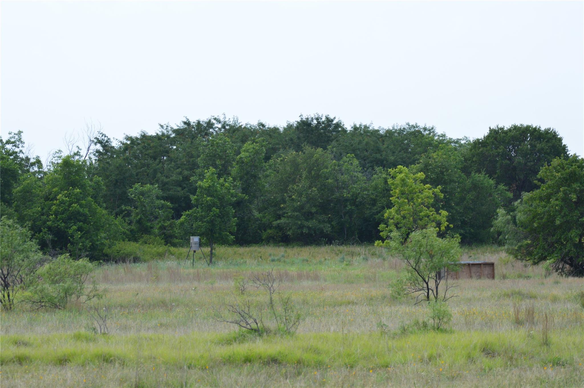 TBD County Road 400, Eastland, TX 76437