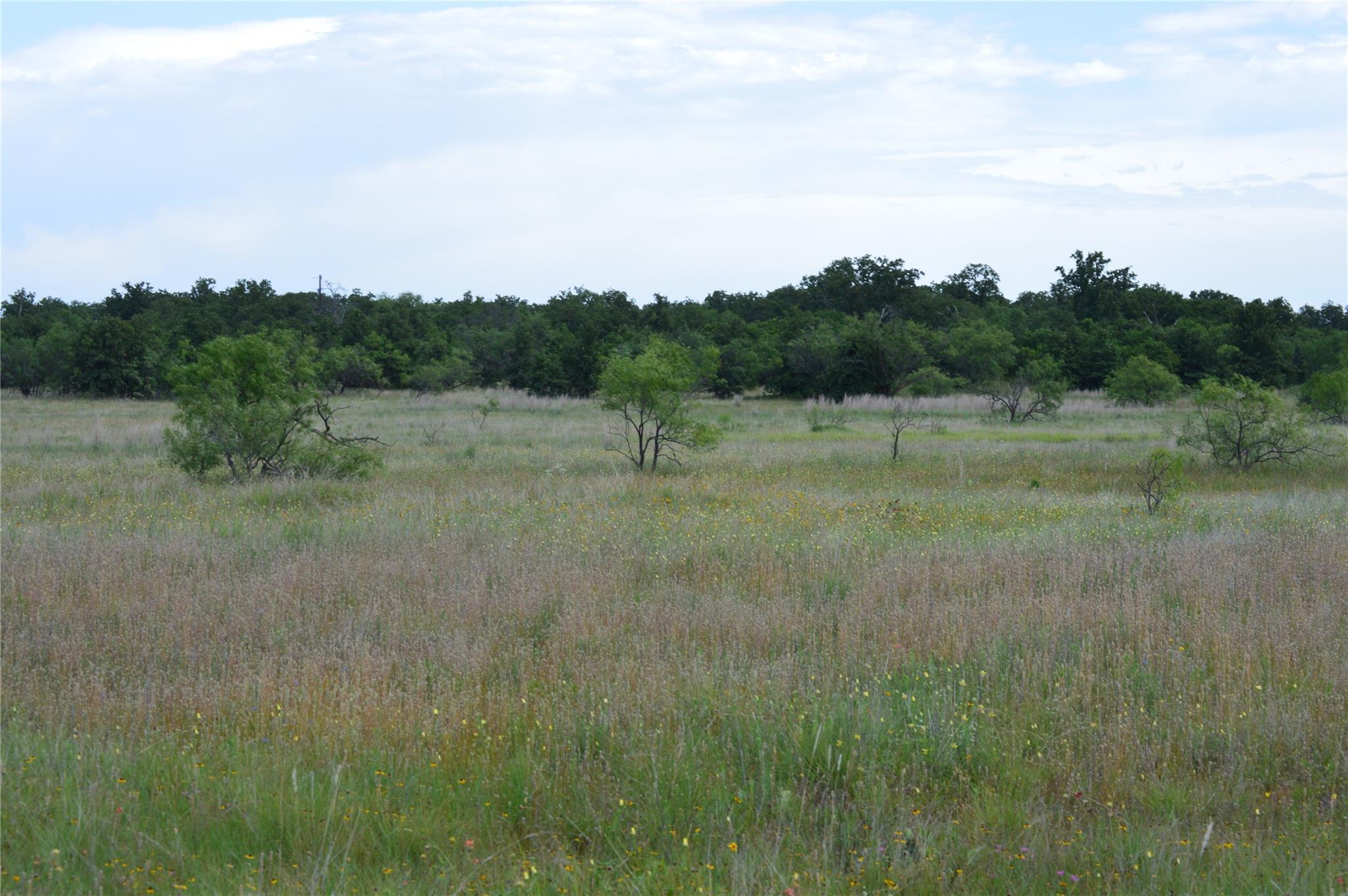 TBD County Road 400, Eastland, TX 76437