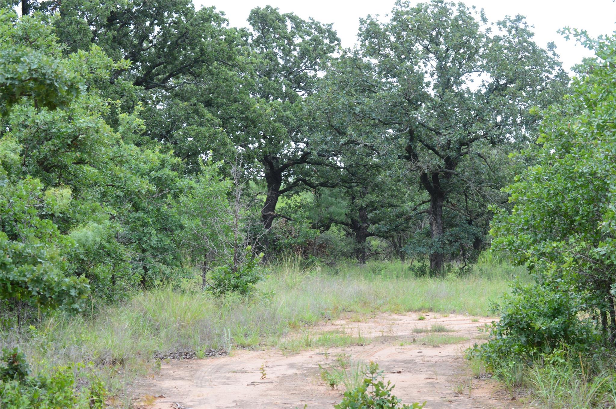 TBD County Road 400, Eastland, TX 76437