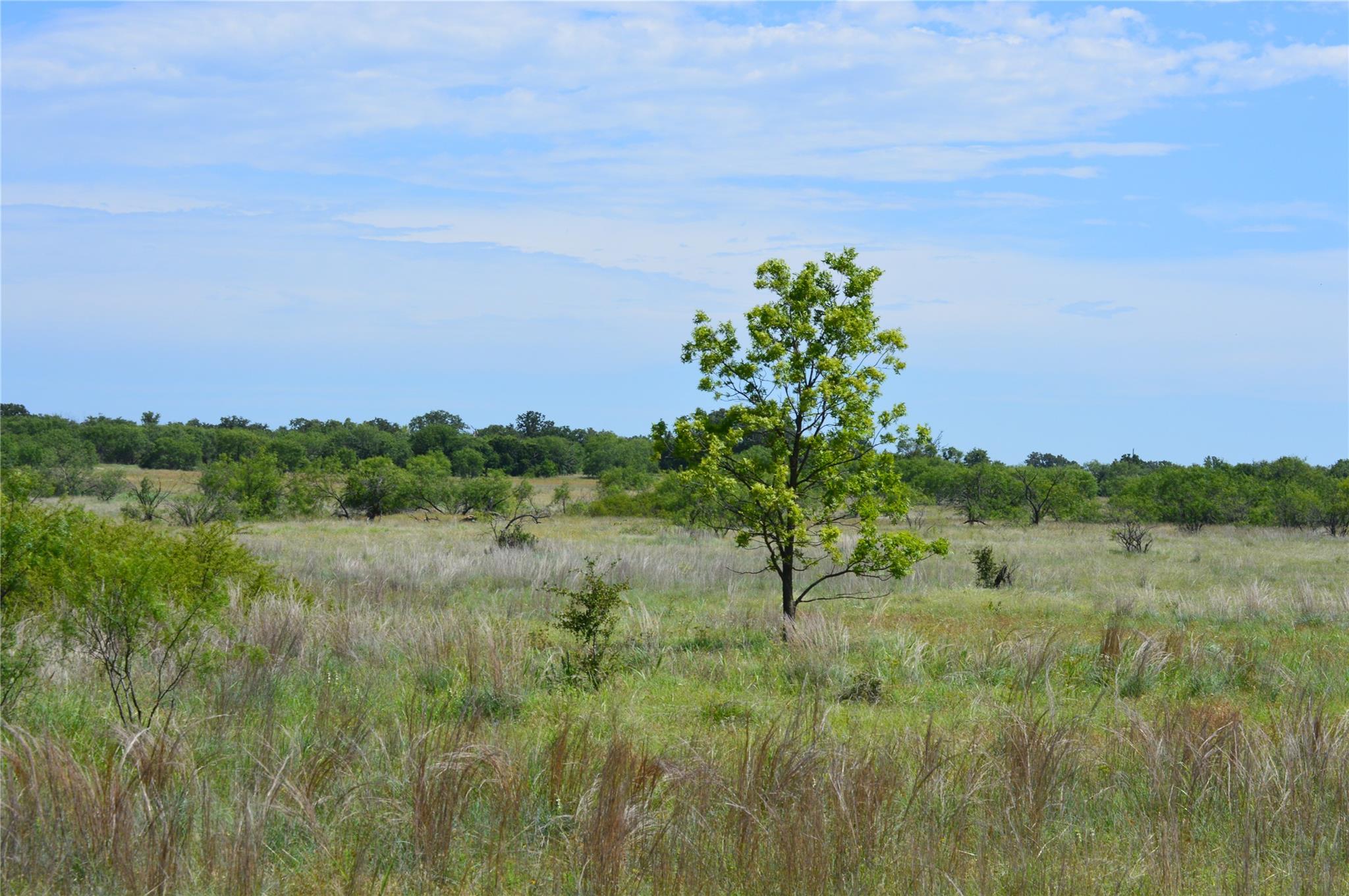 TBD County Road 400, Eastland, TX 76437