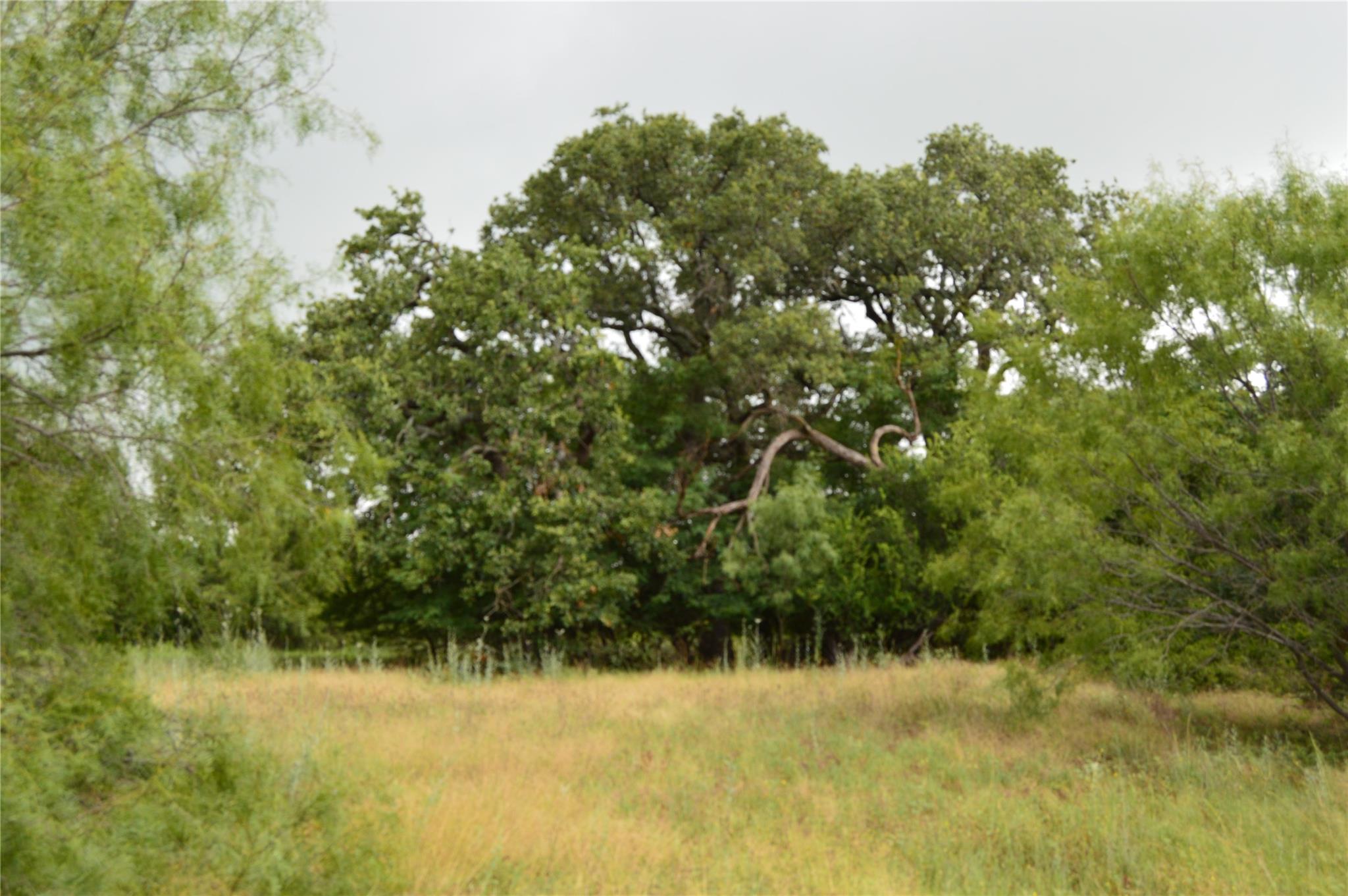 TBD County Road 400, Eastland, TX 76437