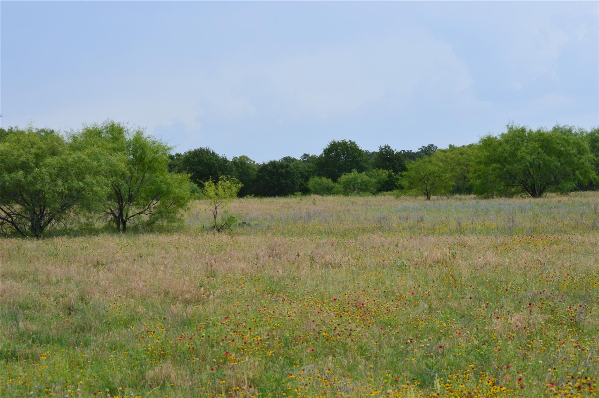 TBD County Road 400, Eastland, TX 76437