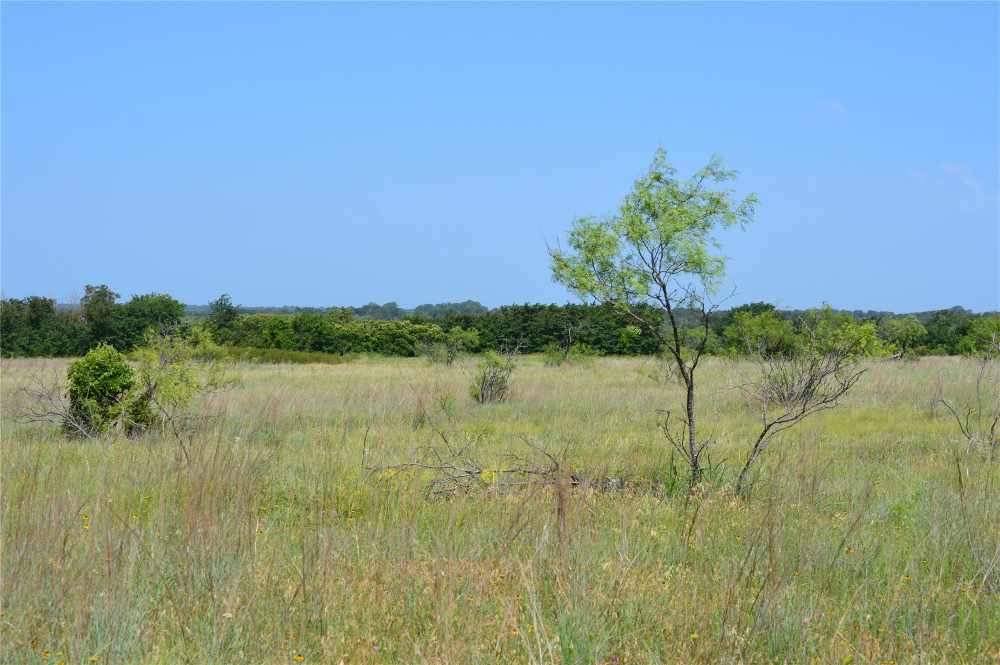 TBD County Road 400, Eastland, TX 76437