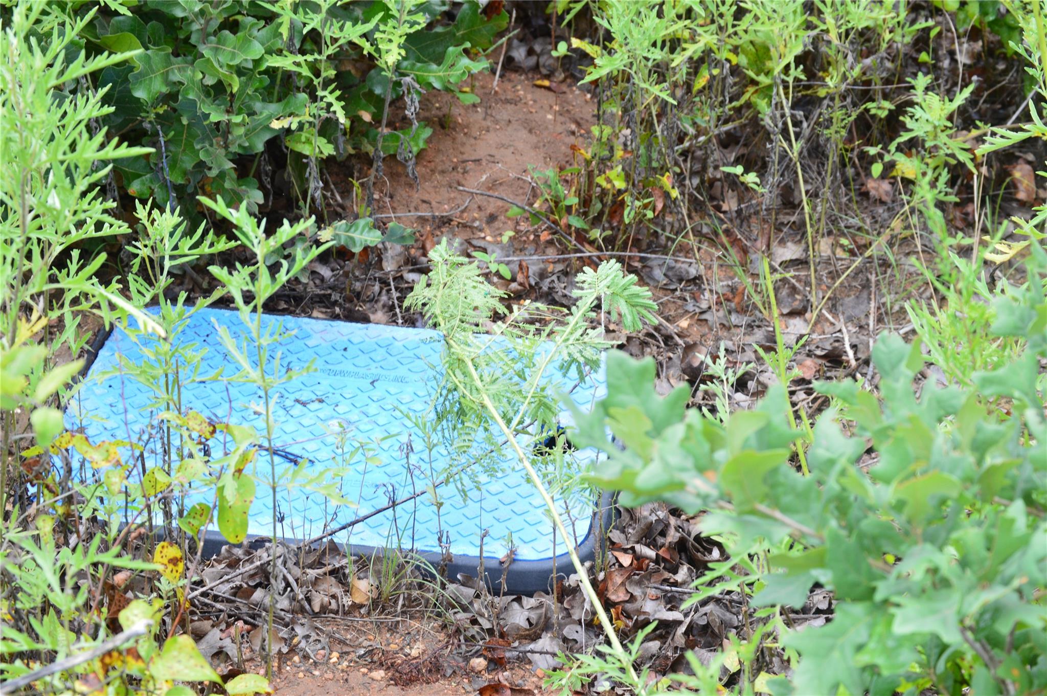 TBD County Road 400, Eastland, TX 76437