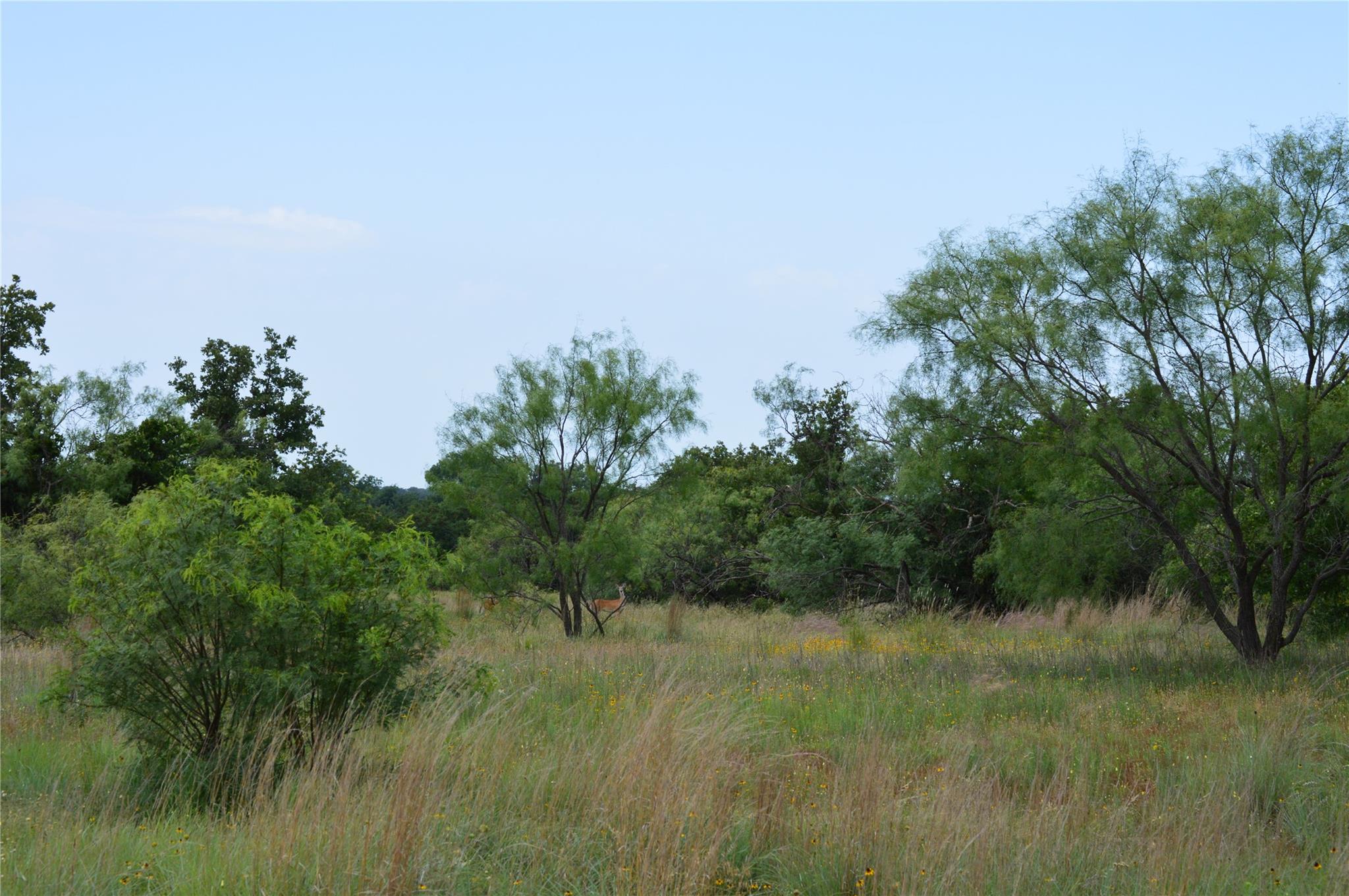 TBD County Road 400, Eastland, TX 76437