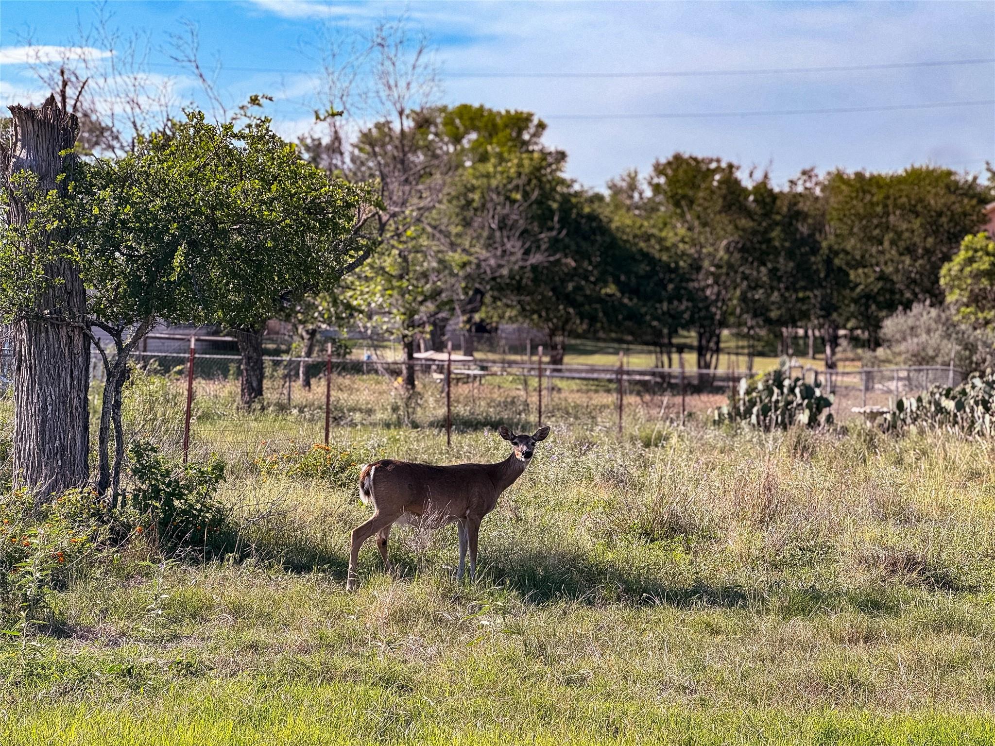 Lots 327 and 378 Friar Tuck Ln, Marble Falls, TX 78654