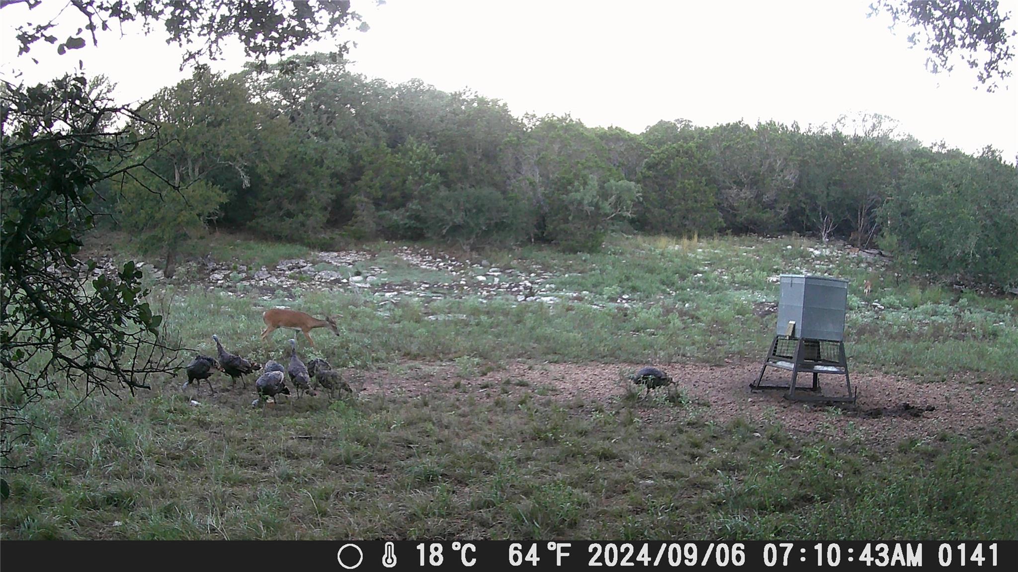 1595 Skyridge Rd, Lampasas, TX 76550