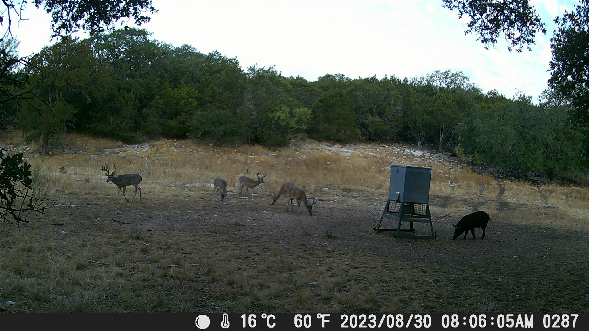 1595 Skyridge Rd, Lampasas, TX 76550