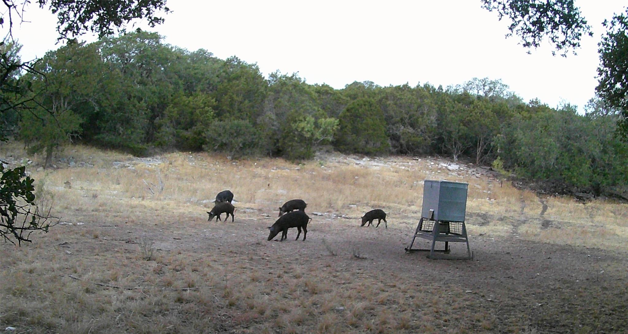 1595 Skyridge Rd, Lampasas, TX 76550