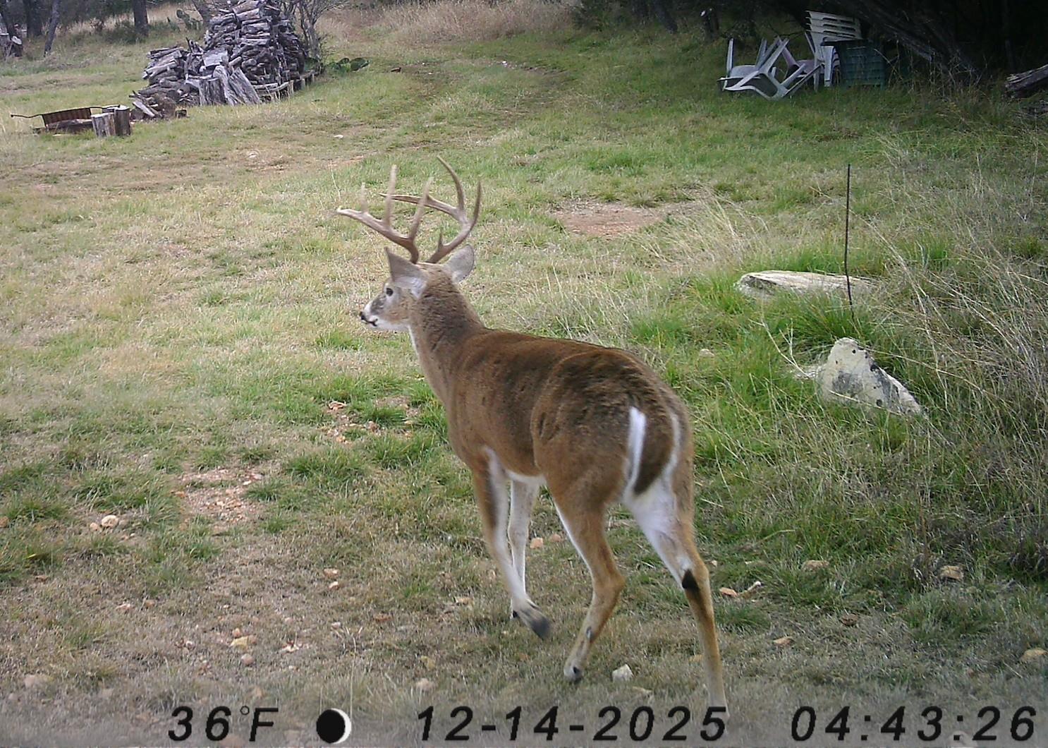 1595 Skyridge Rd, Lampasas, TX 76550