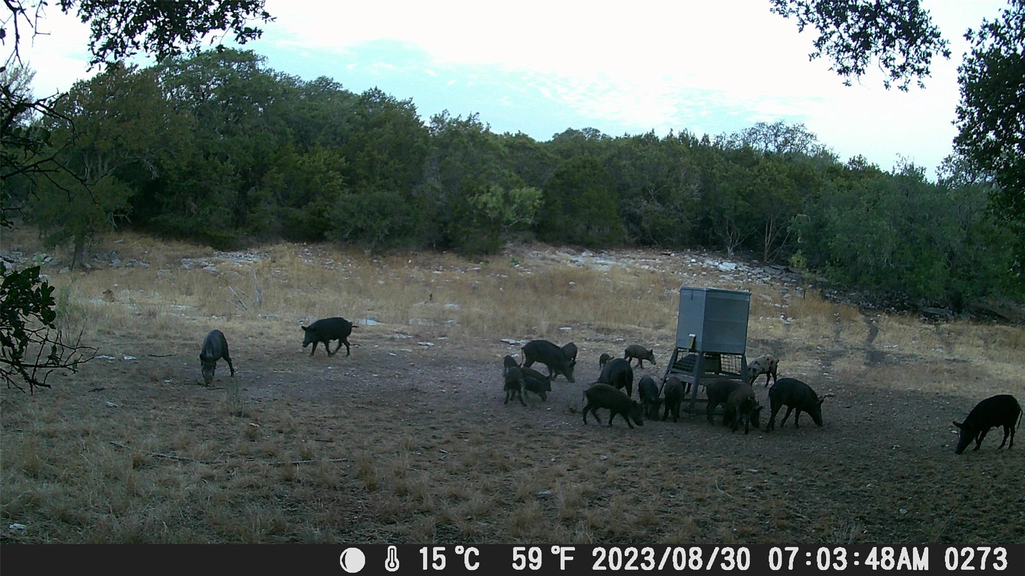 1595 Skyridge Rd, Lampasas, TX 76550