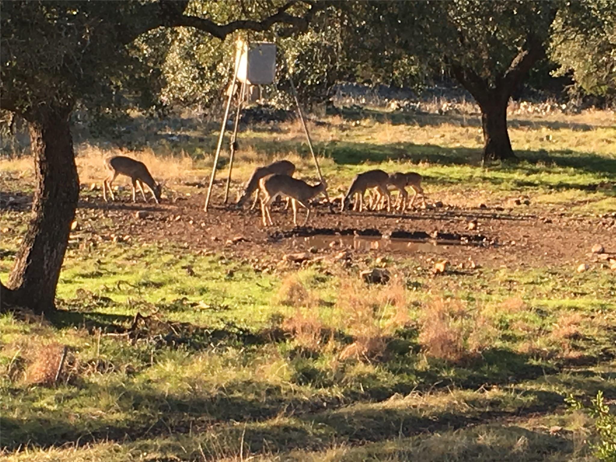 1595 Skyridge Rd, Lampasas, TX 76550