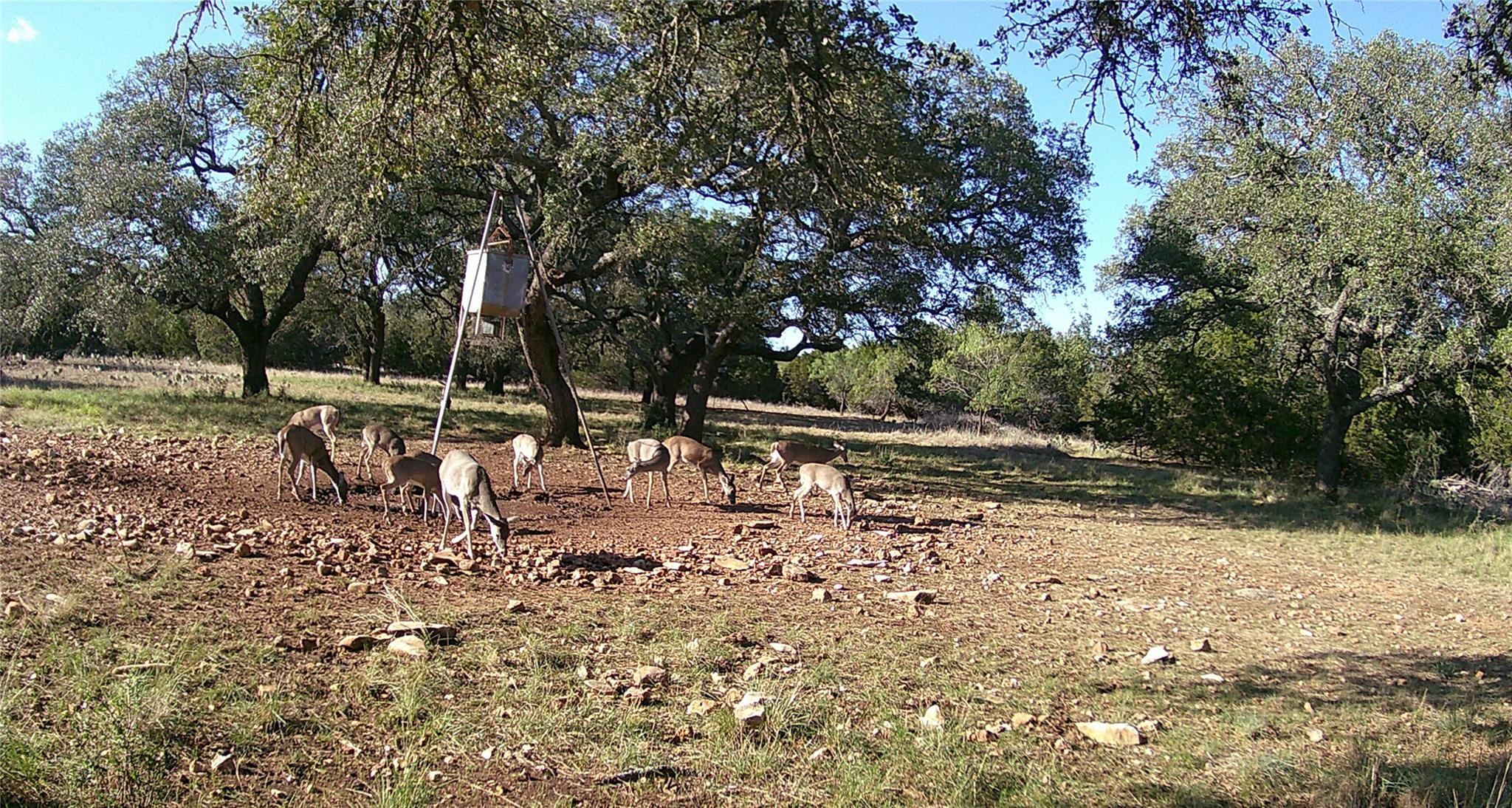 1595 Skyridge Rd, Lampasas, TX 76550