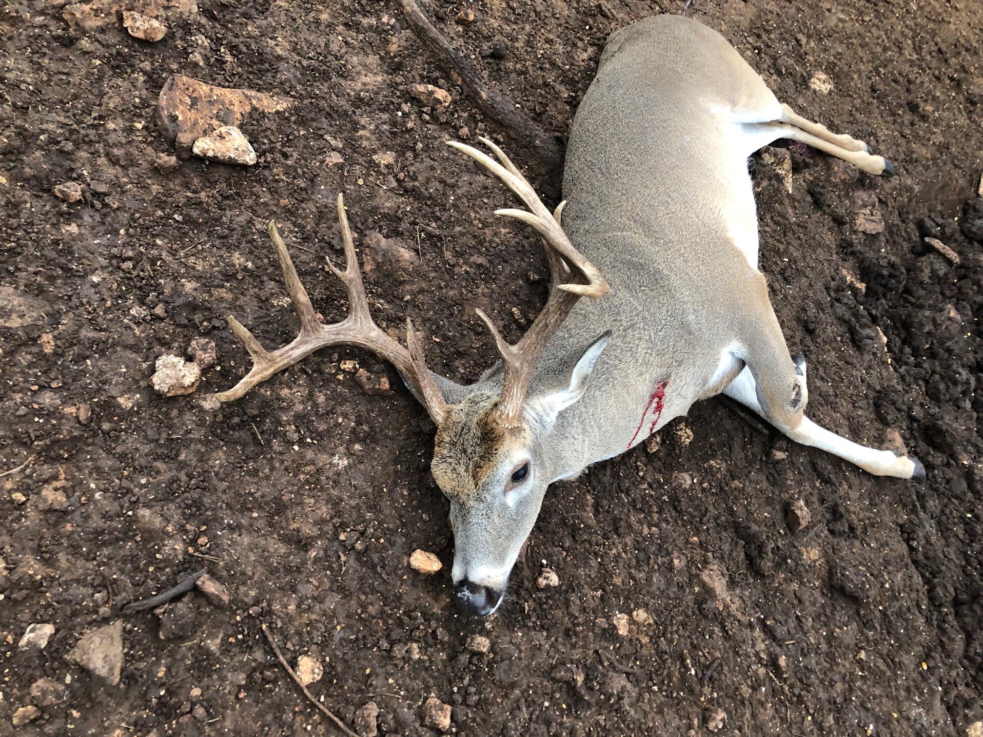 1595 Skyridge Rd, Lampasas, TX 76550