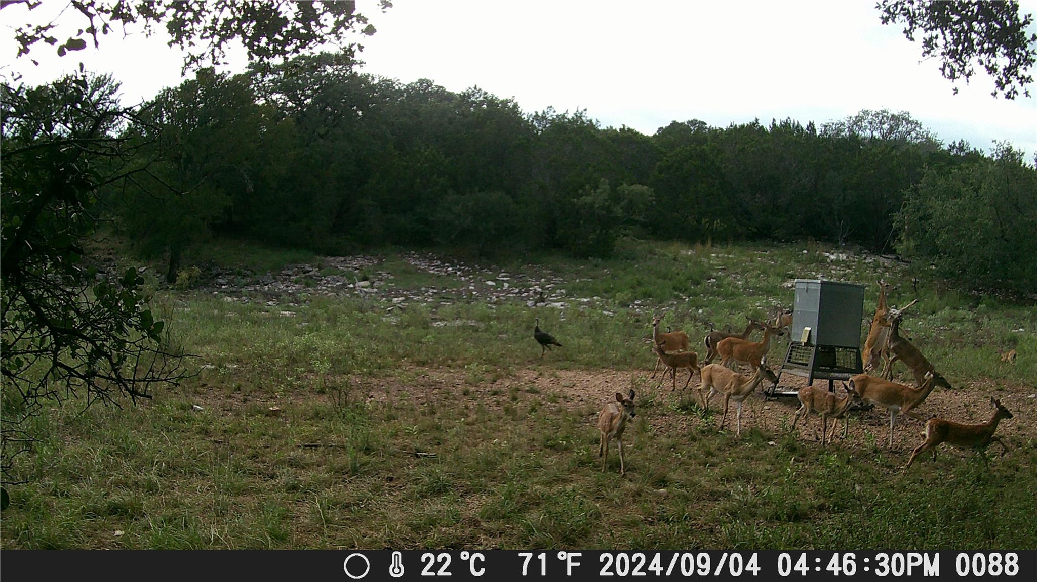 1595 Skyridge Rd, Lampasas, TX 76550