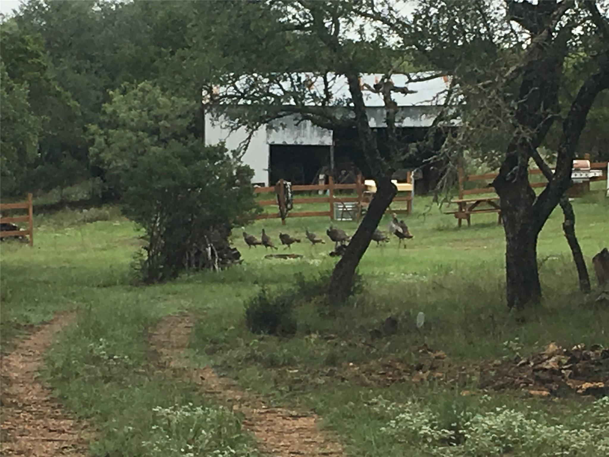 1595 Skyridge Rd, Lampasas, TX 76550