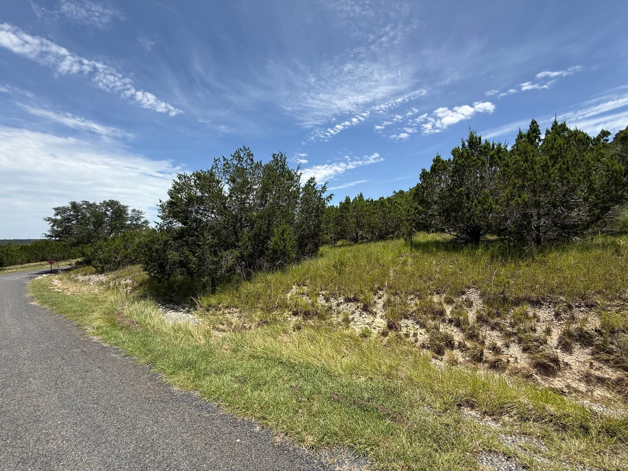 Lot 249 Woodhollow Dr, Bertram, TX 78681