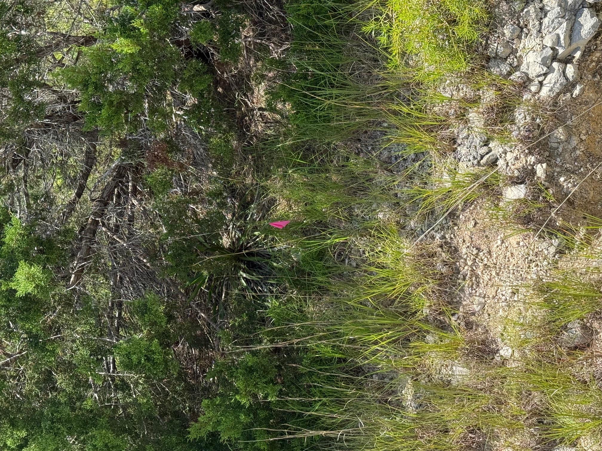 Lot 249 Woodhollow Dr, Bertram, TX 78681