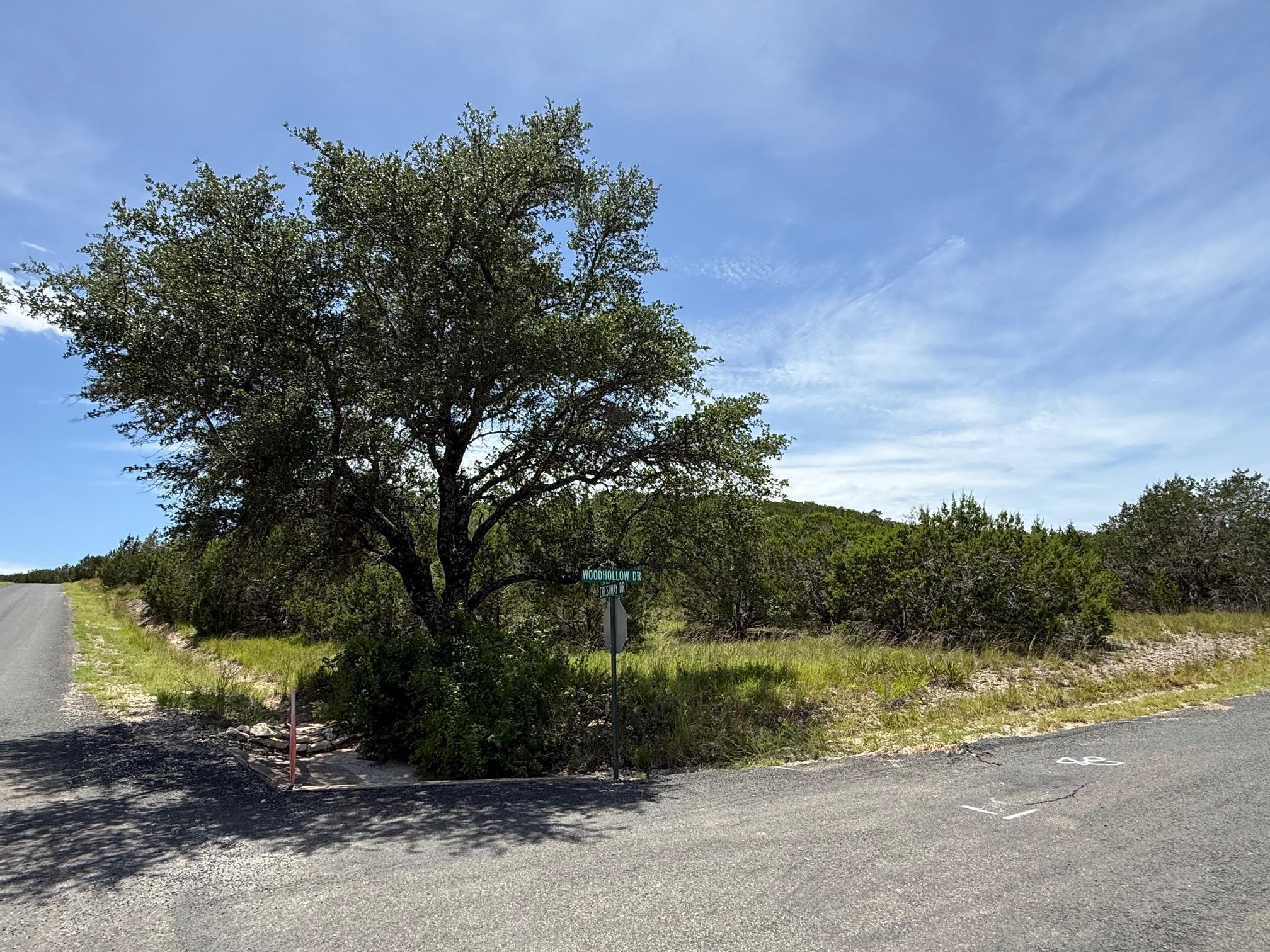 Lot 249 Woodhollow Dr, Bertram, TX 78681