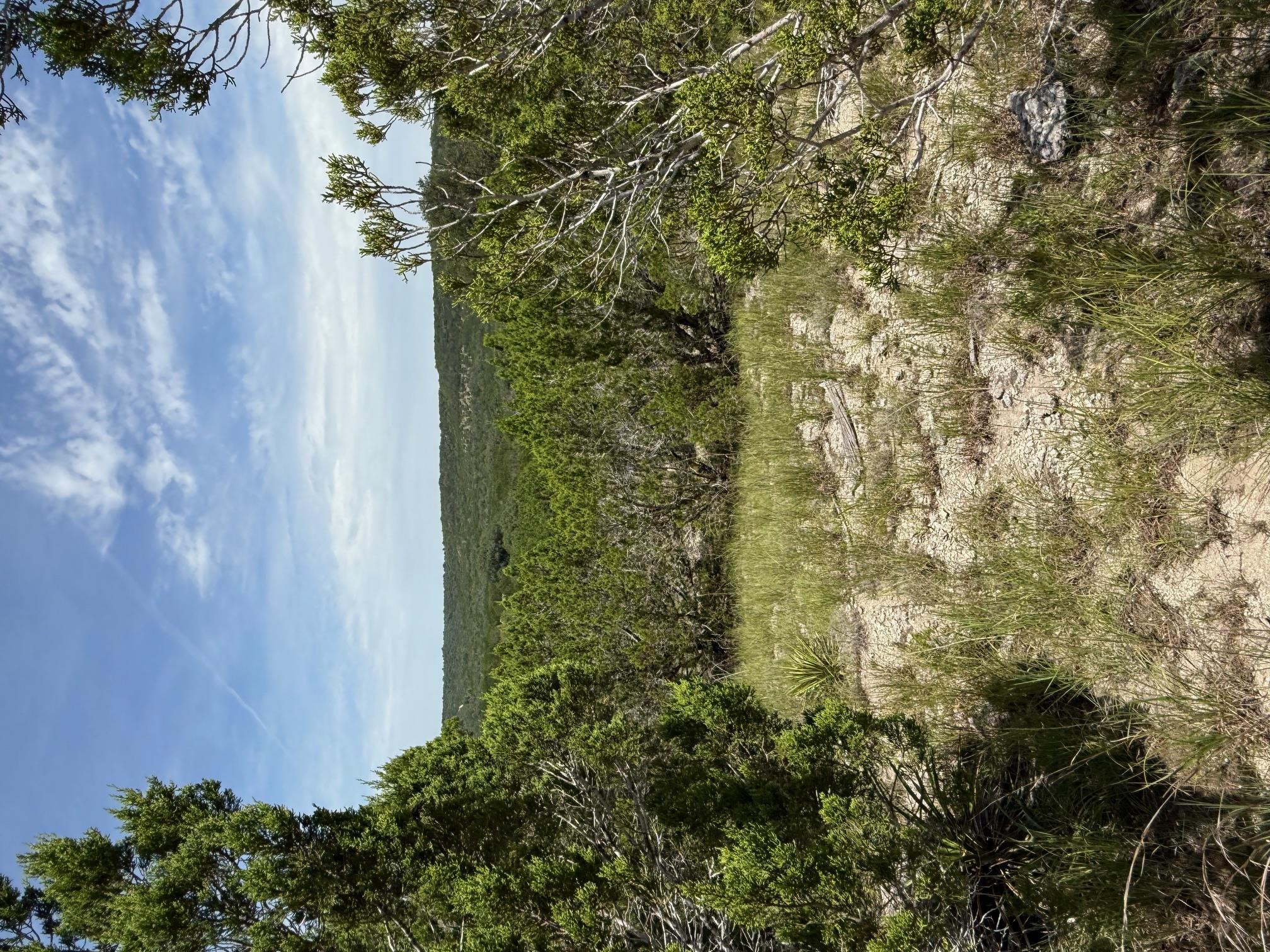 Lot 249 Woodhollow Dr, Bertram, TX 78681