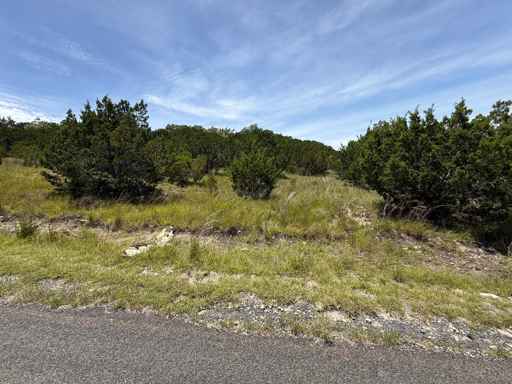 Lot 249 Woodhollow Dr, Bertram, TX 78681