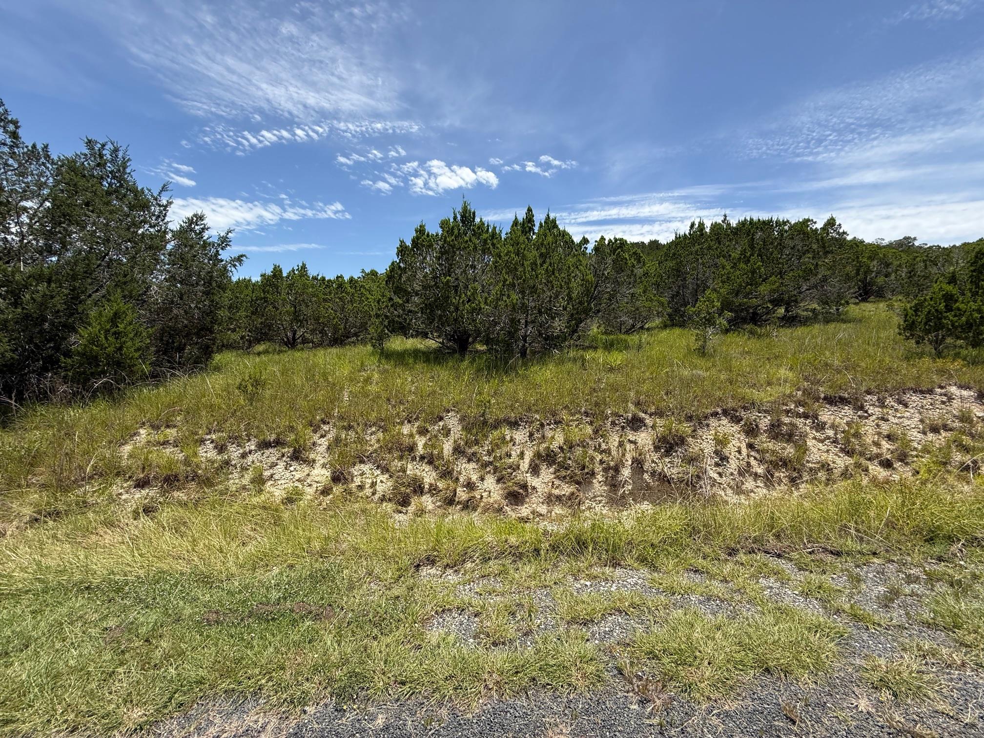 Lot 249 Woodhollow Dr, Bertram, TX 78681