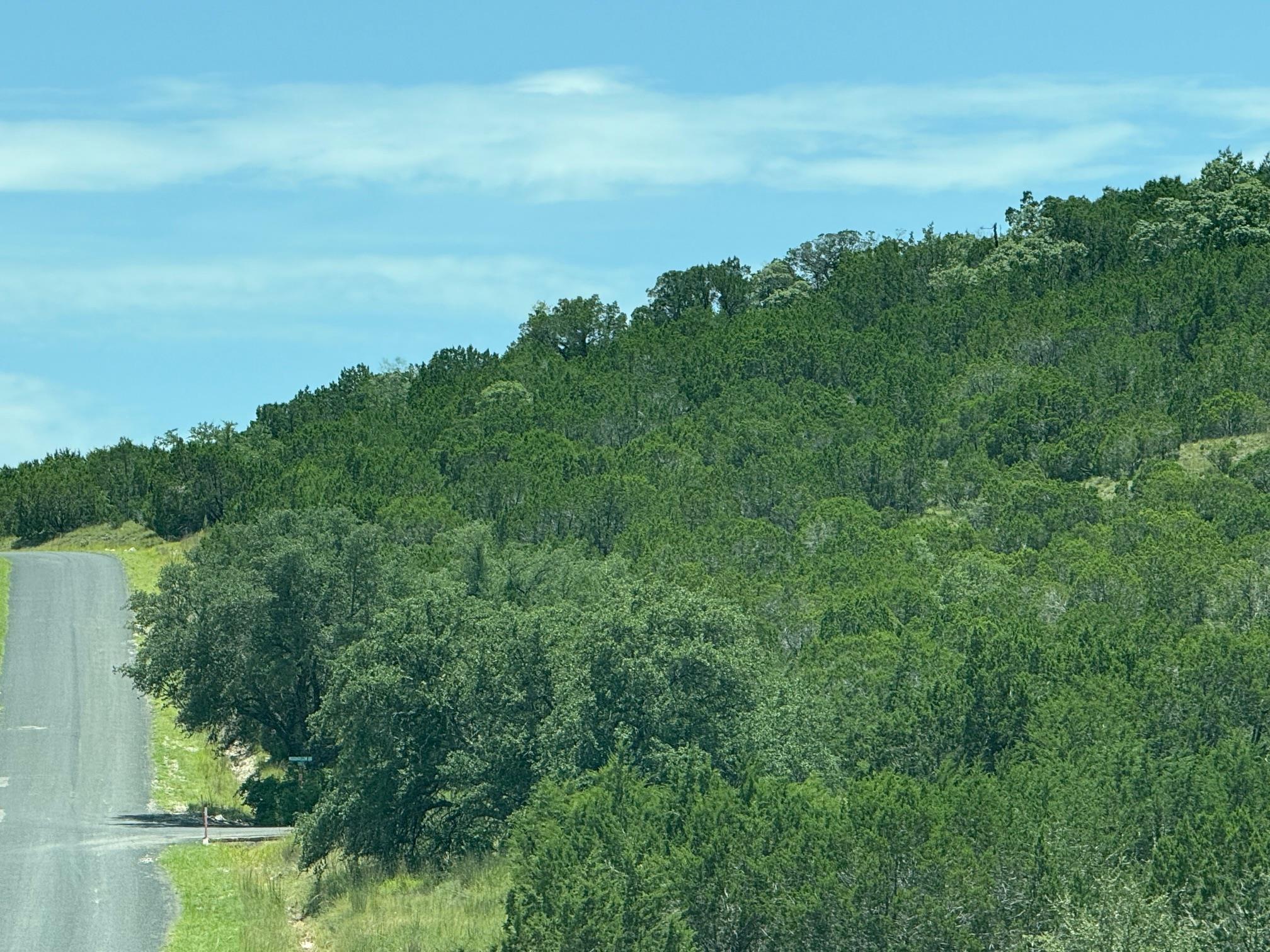 Lot 249 Woodhollow Dr, Bertram, TX 78681