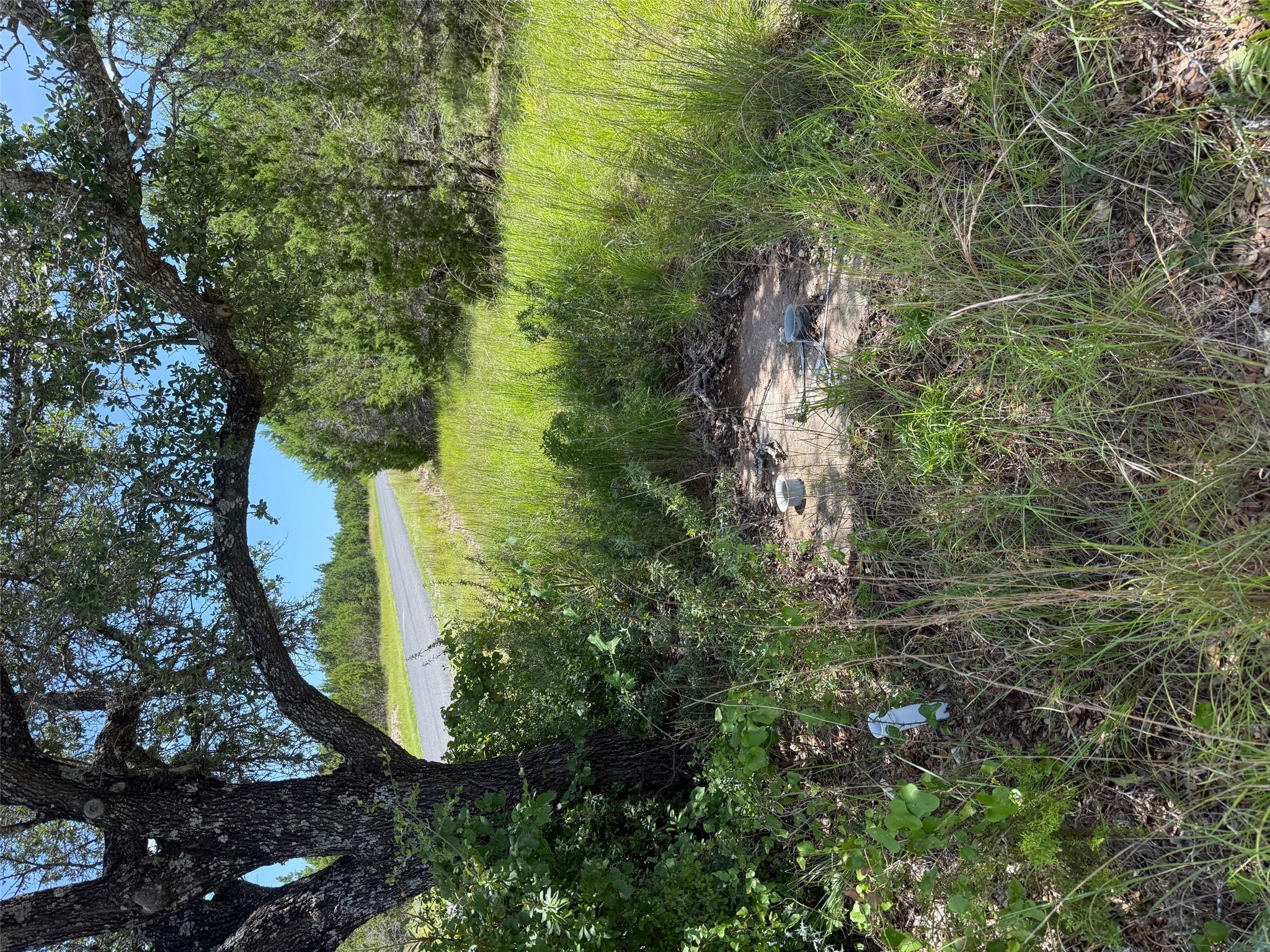 Lot 249 Woodhollow Dr, Bertram, TX 78681