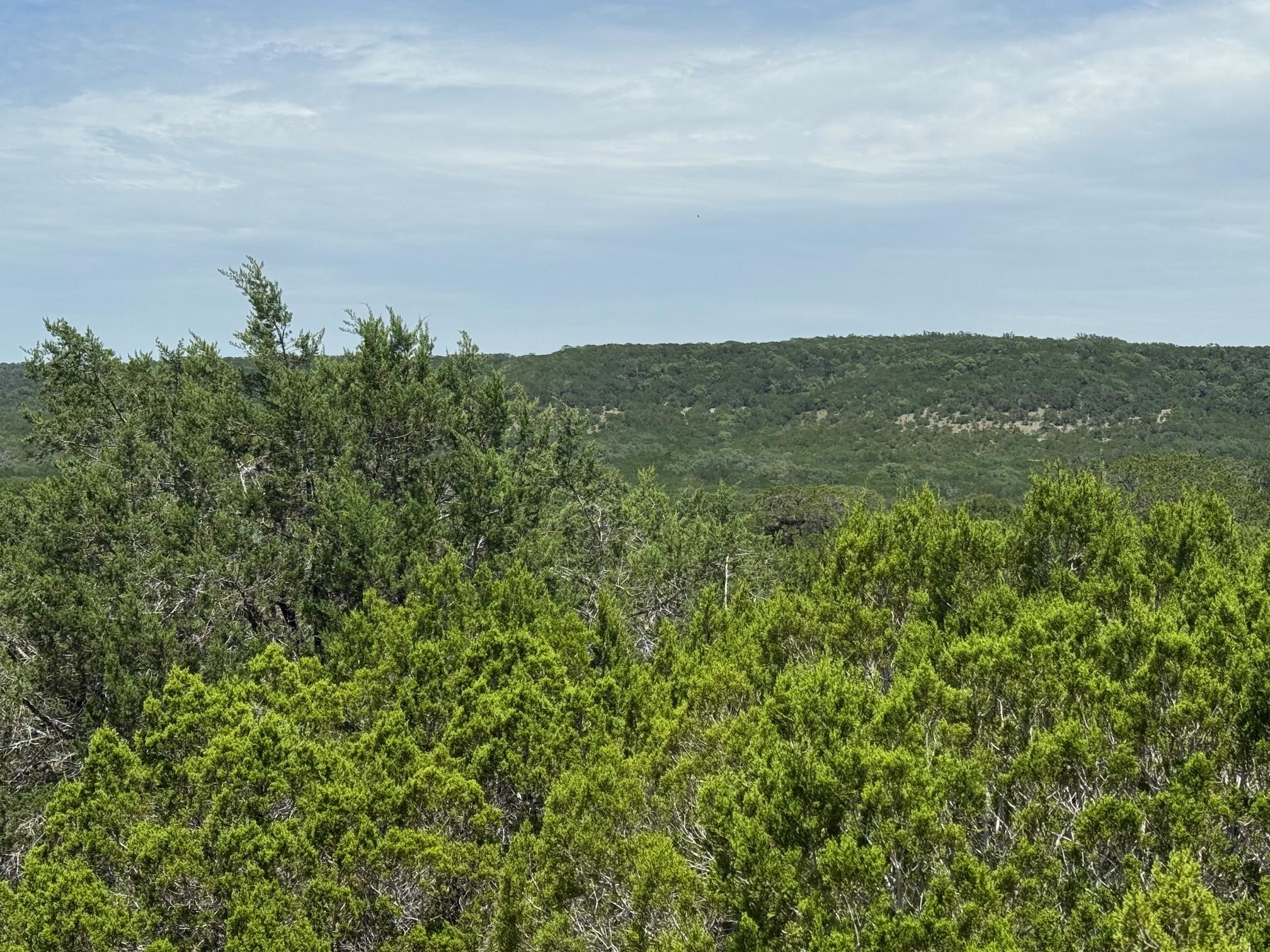 Lot 249 Woodhollow Dr, Bertram, TX 78681