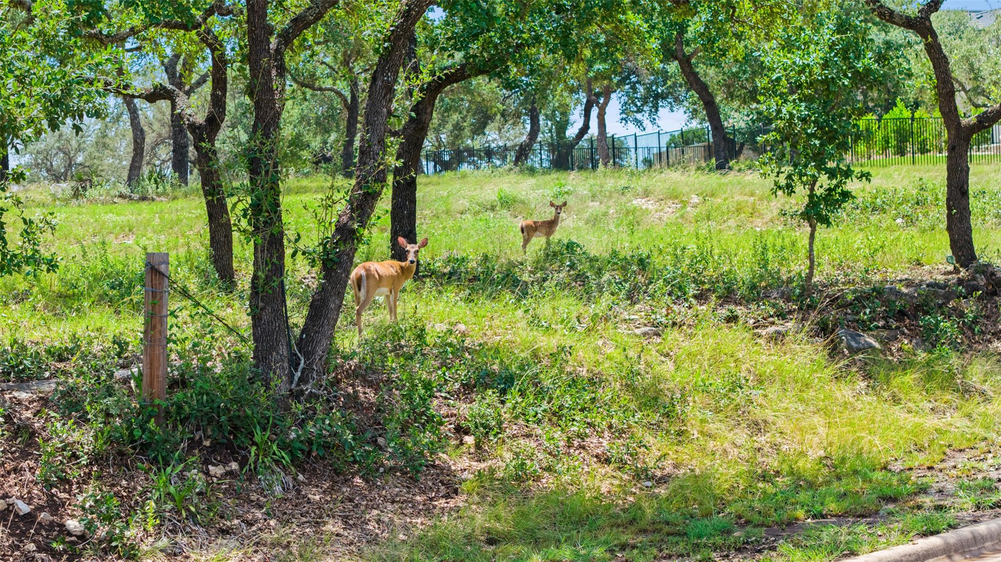 1400 KAHALA SUNSET DR Dr, Spicewood, TX 78669