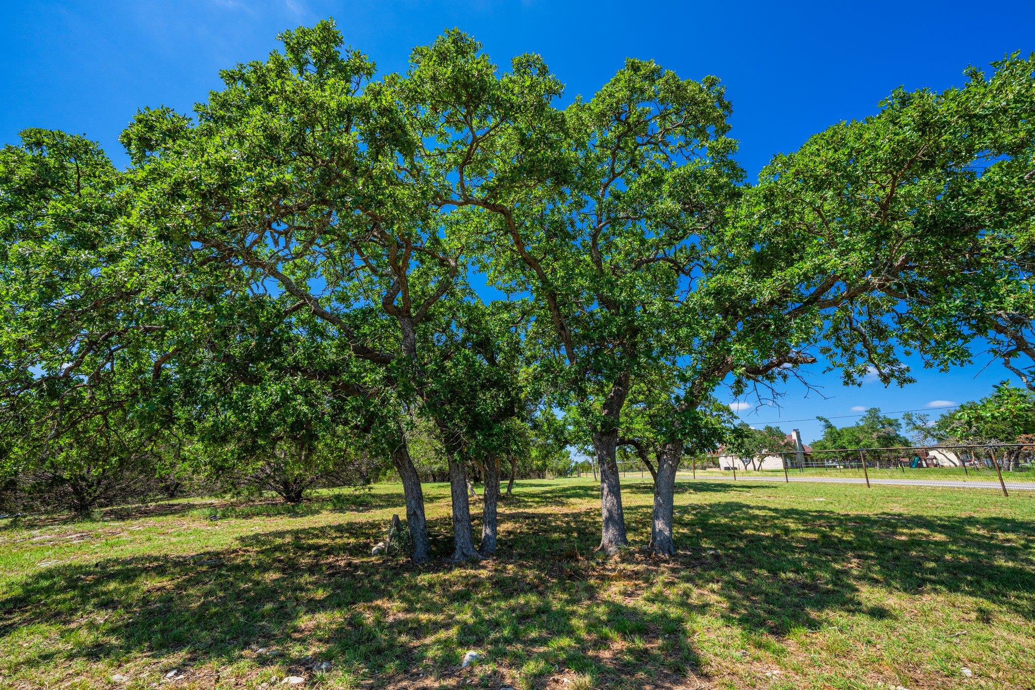 106 Mesquite Trl, Boerne, TX 78006