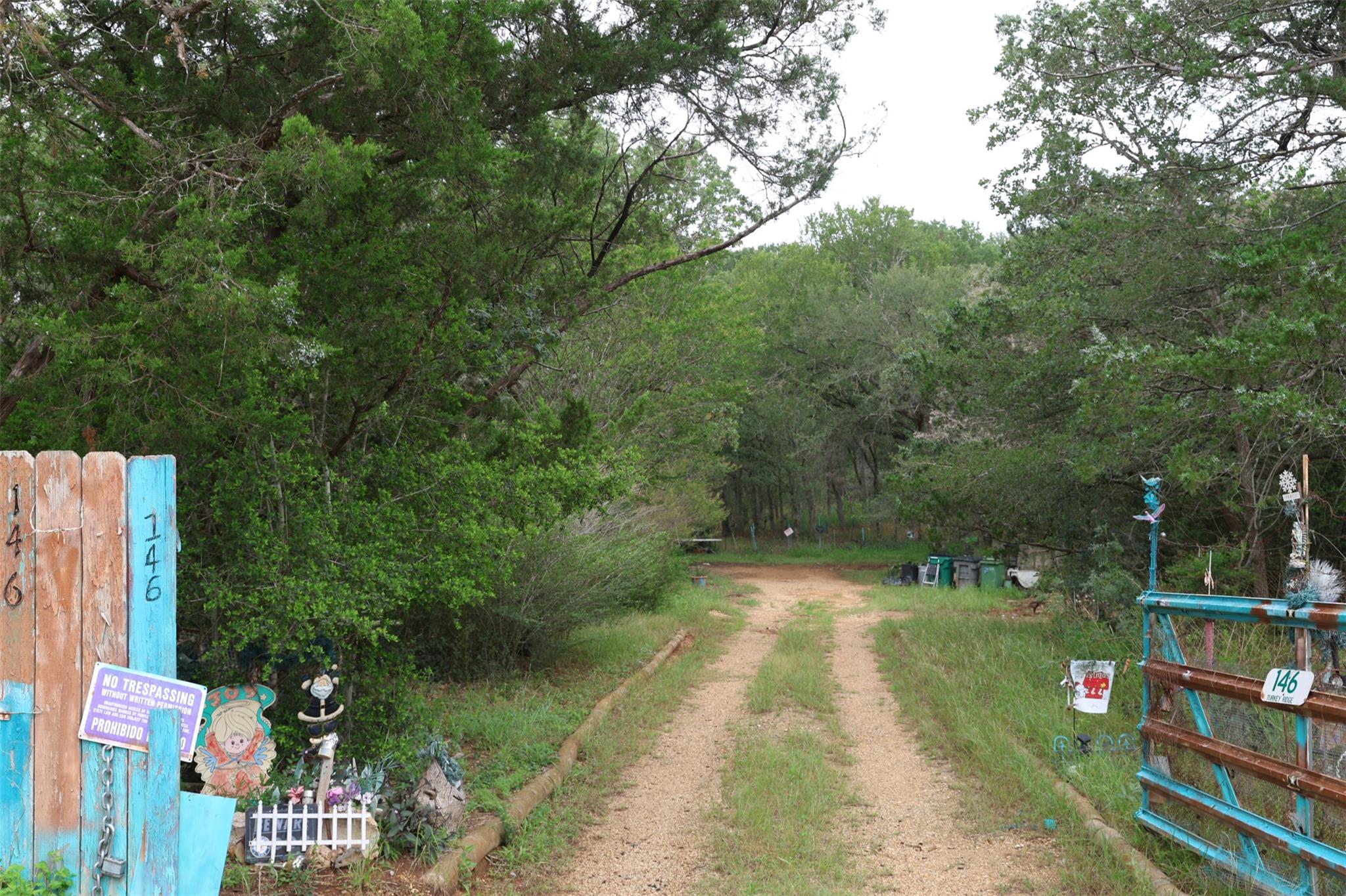 146 Turkey Ridge Cv, Cedar Creek, TX 78612