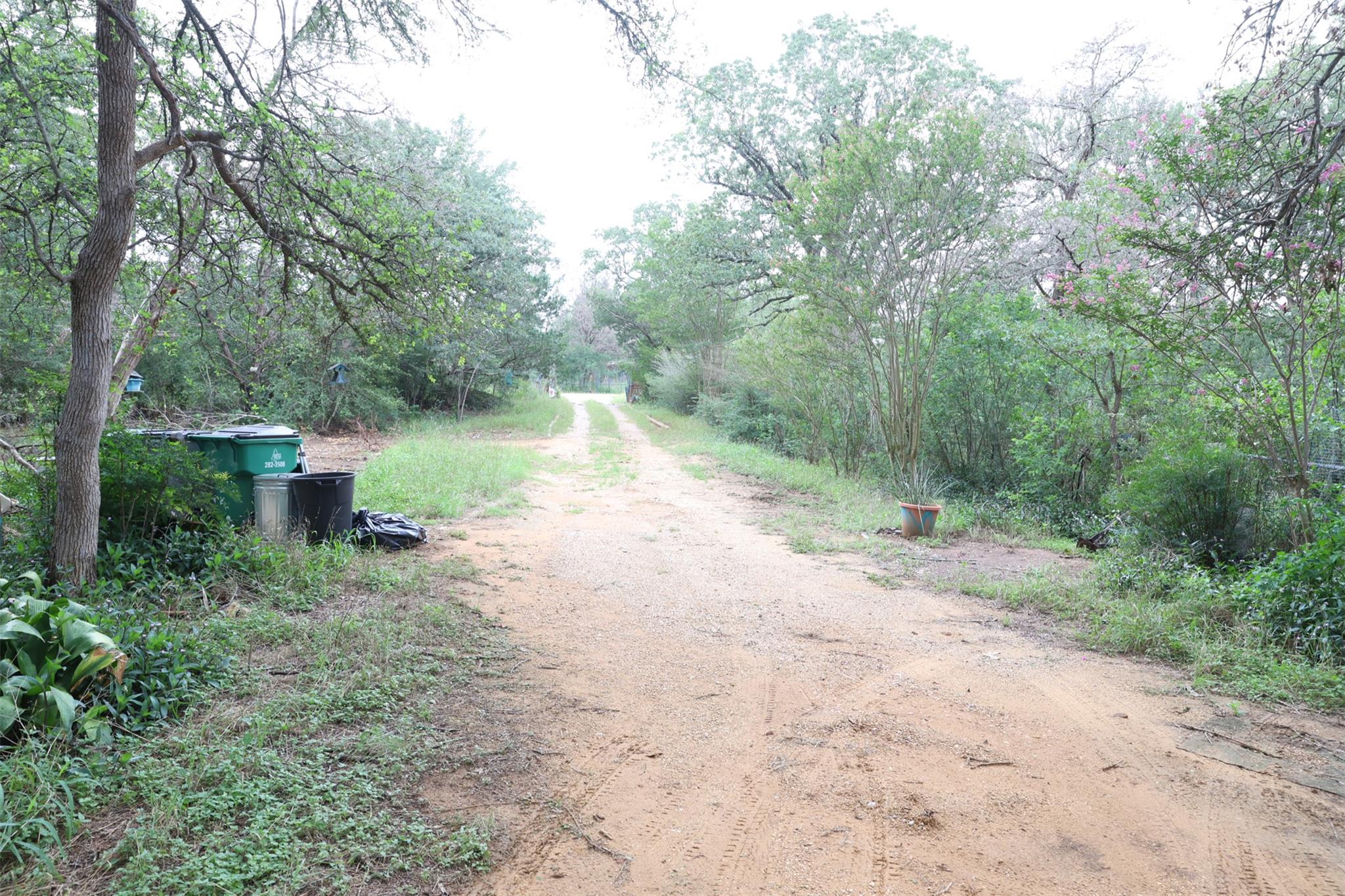 146 Turkey Ridge Cv, Cedar Creek, TX 78612