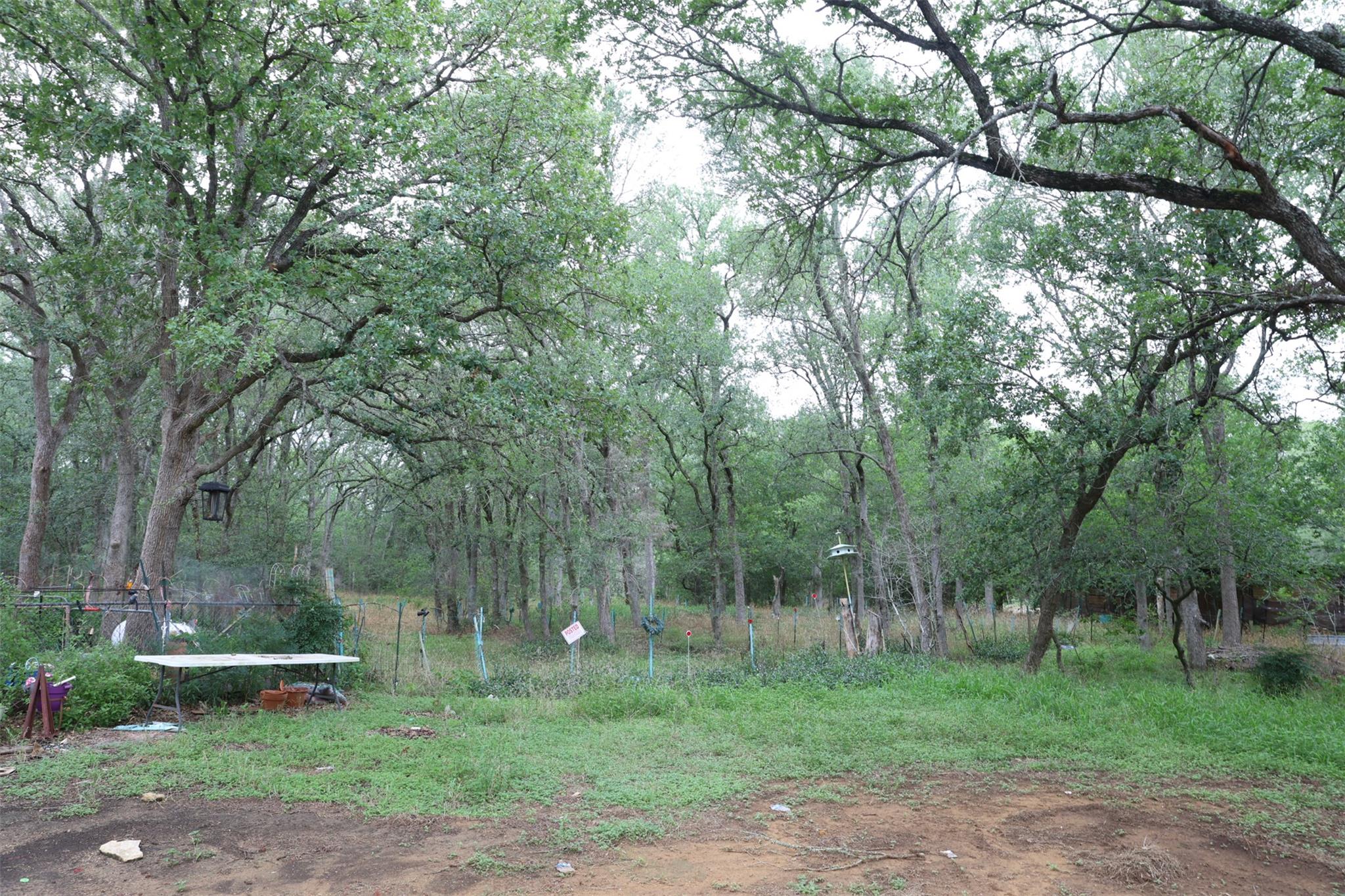 146 Turkey Ridge Cv, Cedar Creek, TX 78612