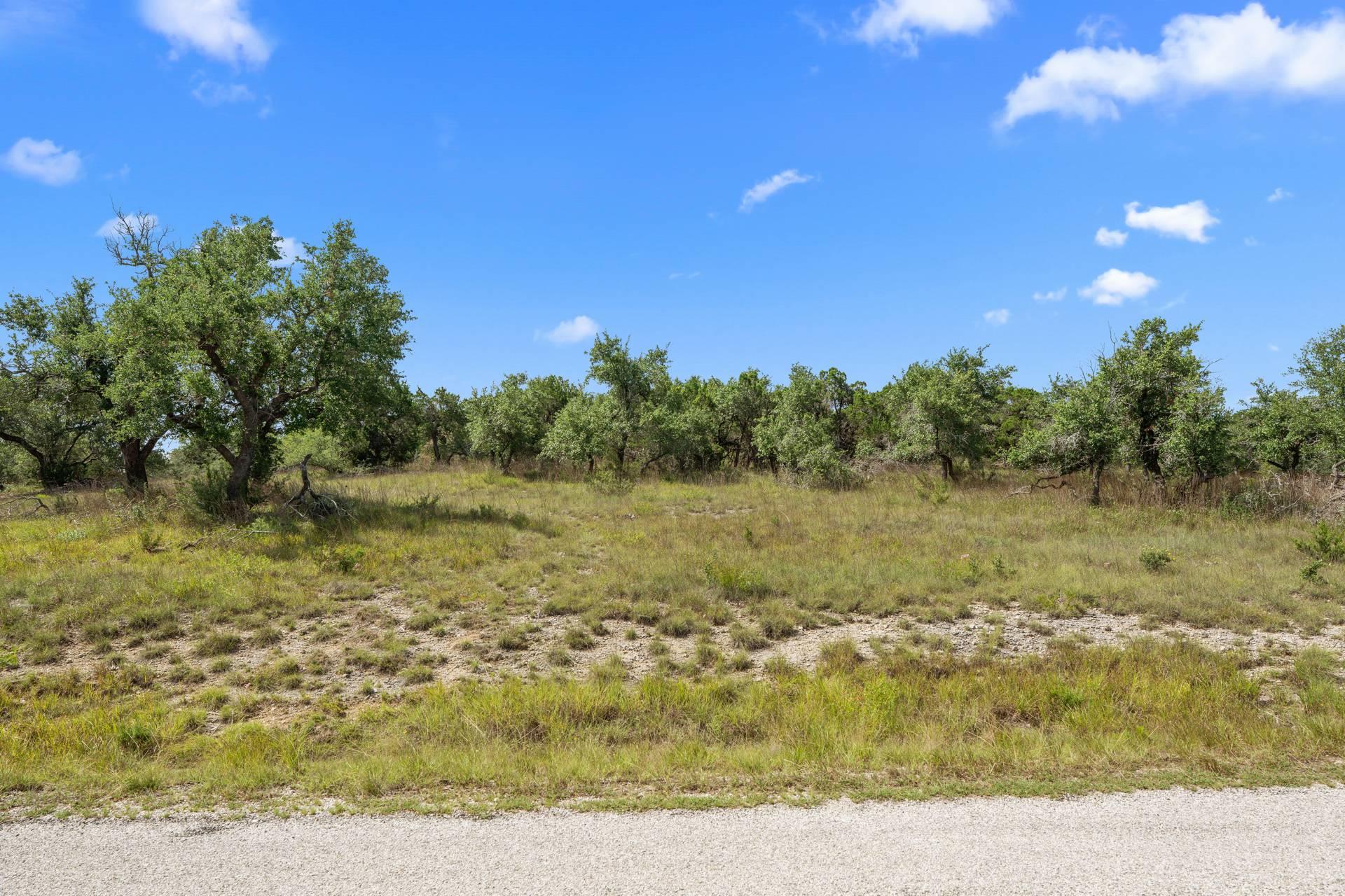 Lot A (Subdivided) Mirela Ann Rd, Dripping Springs, TX 78620