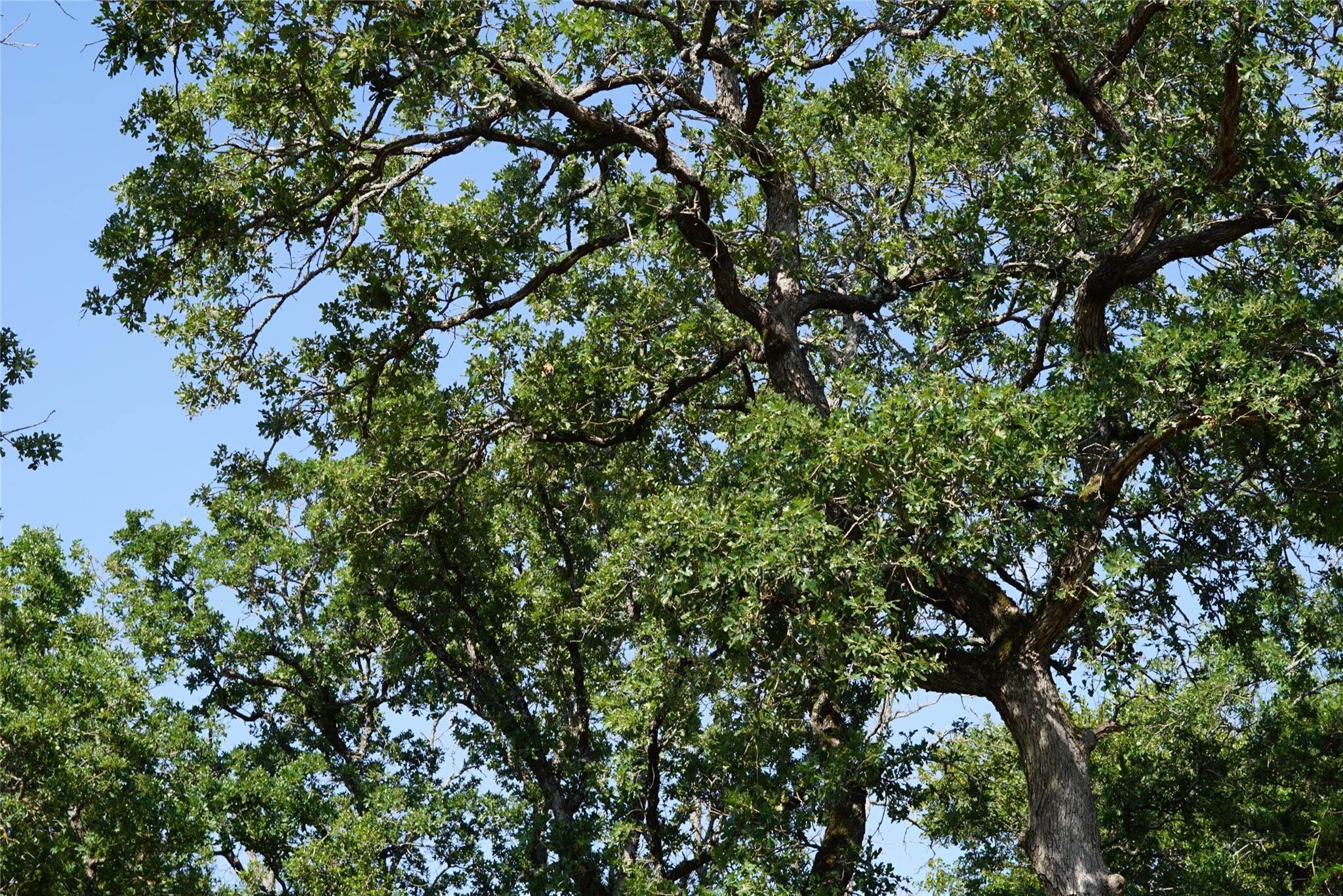 5857 County Road 322, Rockdale, TX 76567