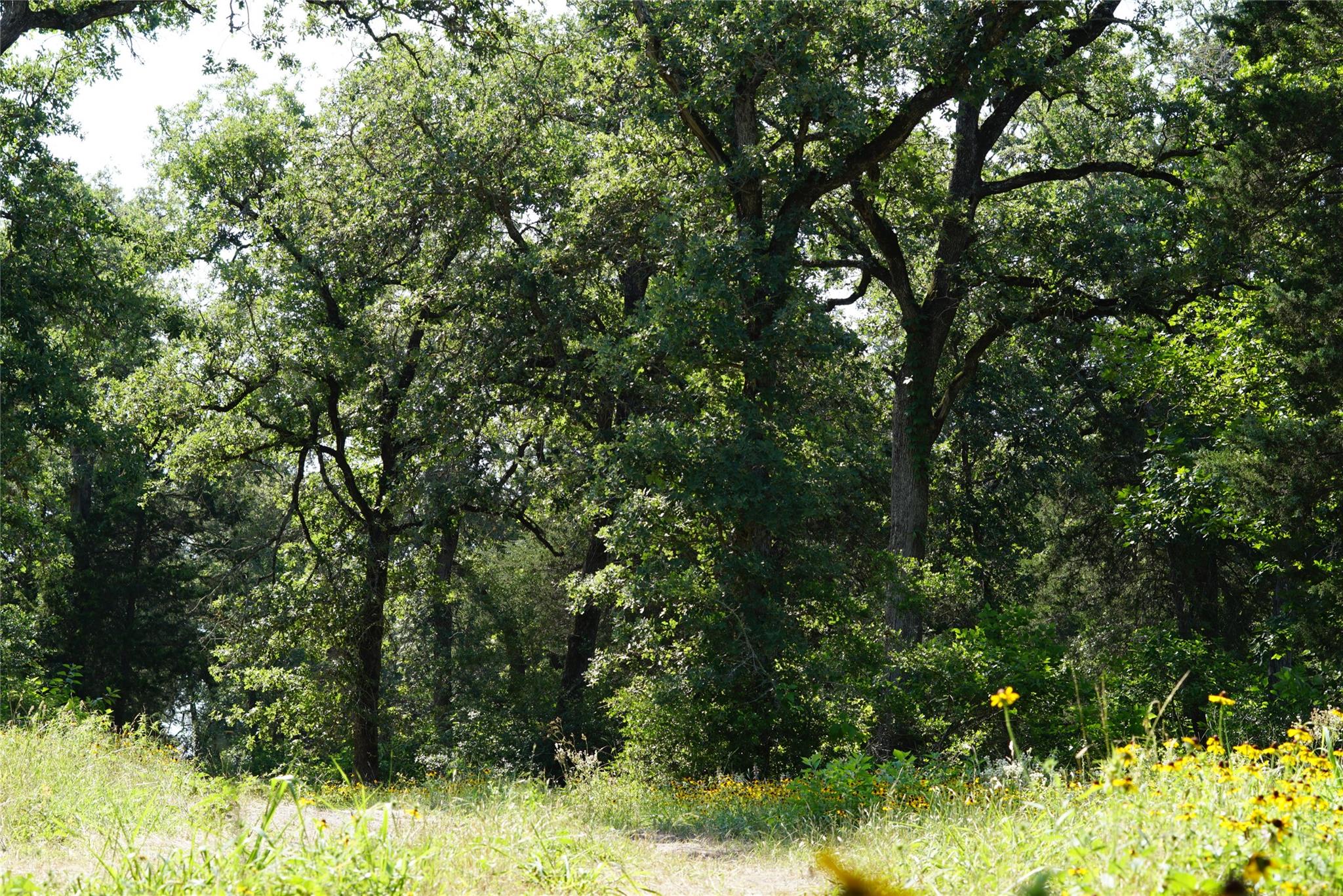 5857 County Road 322, Rockdale, TX 76567