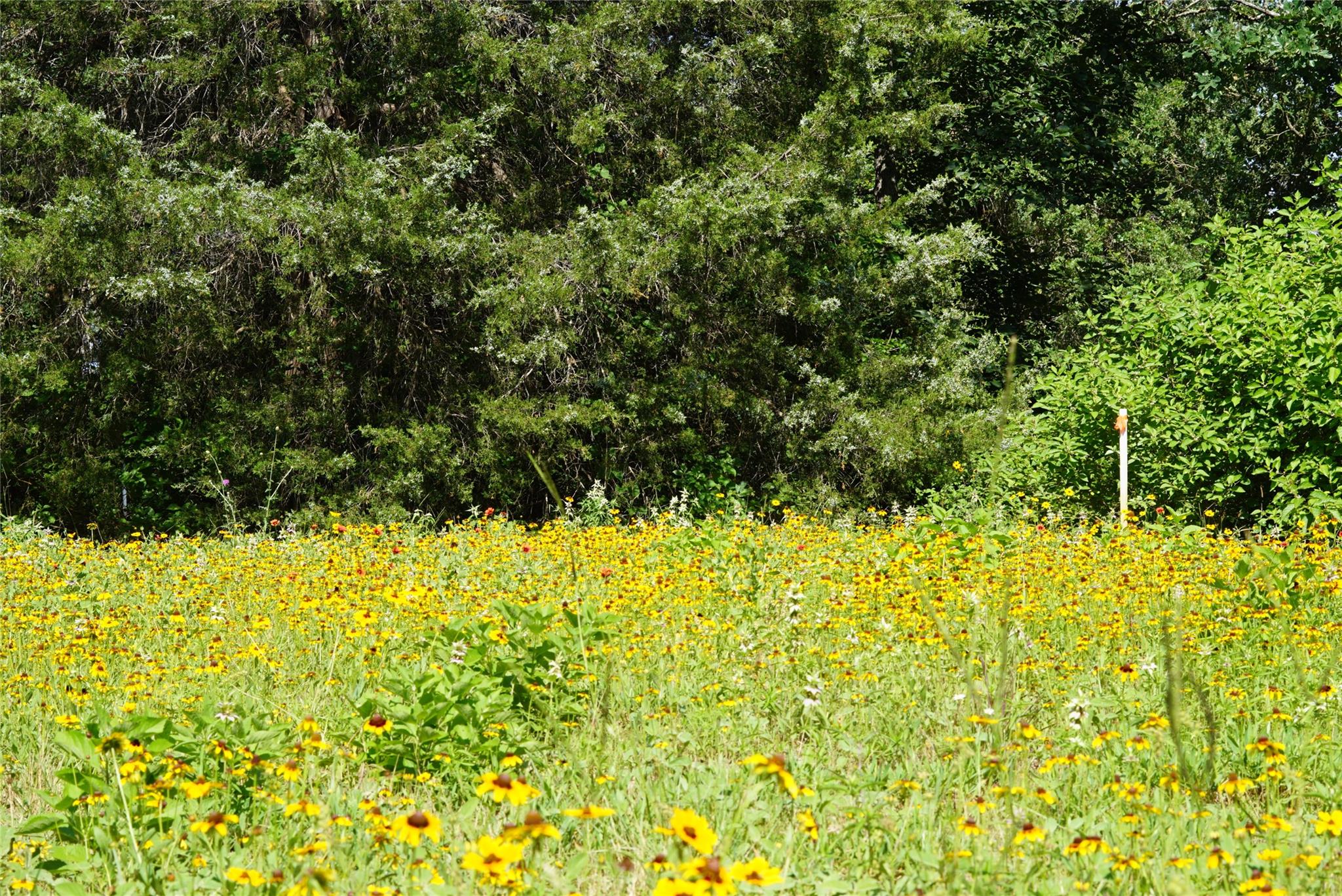 5857 County Road 322, Rockdale, TX 76567