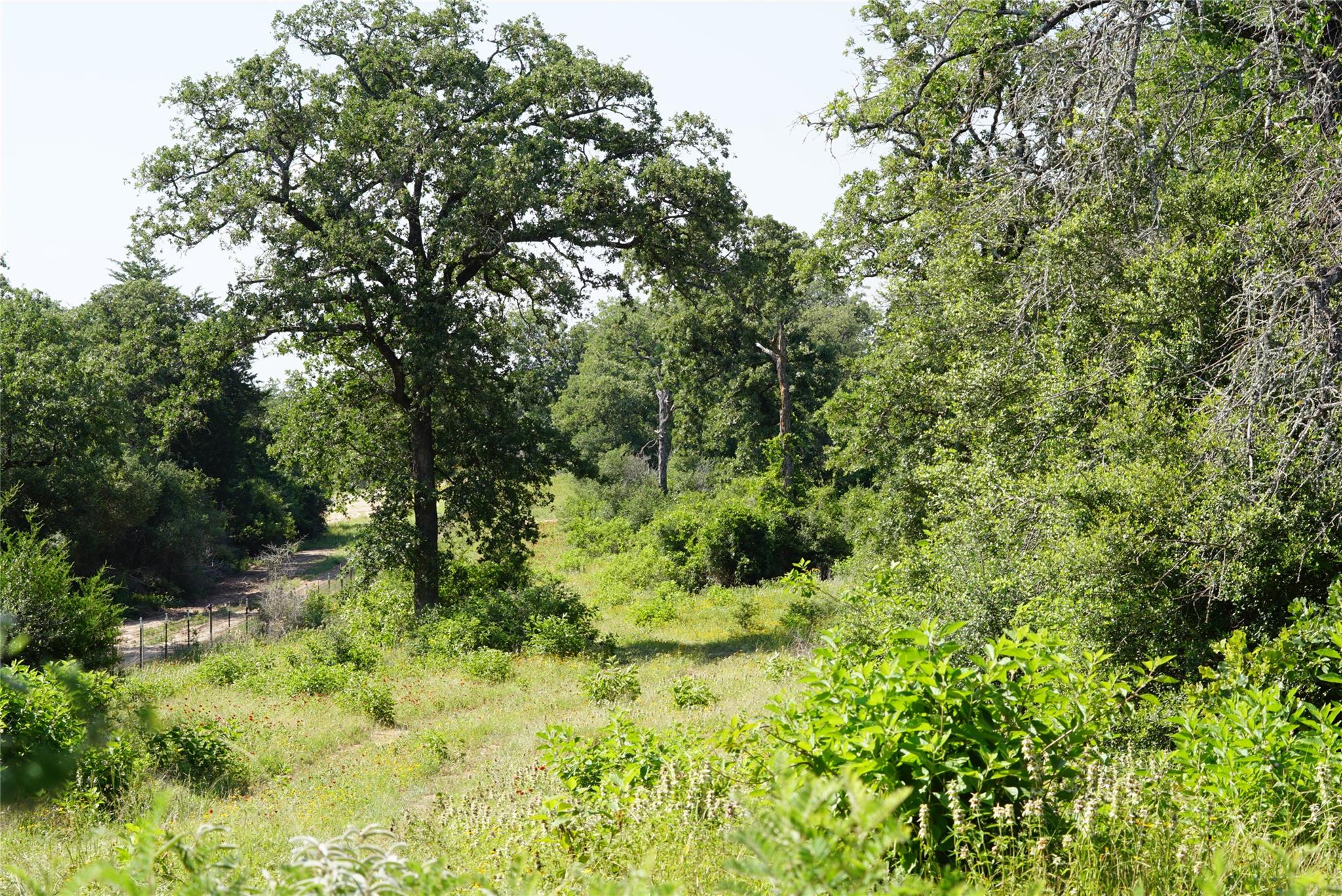 5857 County Road 322, Rockdale, TX 76567