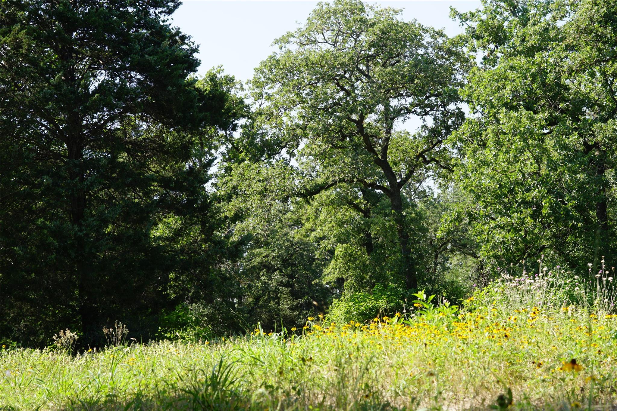 5857 County Road 322, Rockdale, TX 76567