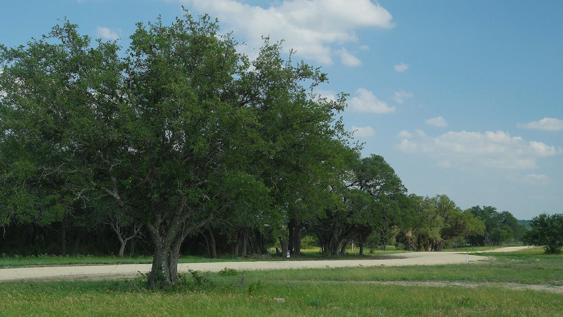 TBD Lot 5 County Rd 210, Bertram, TX 78605