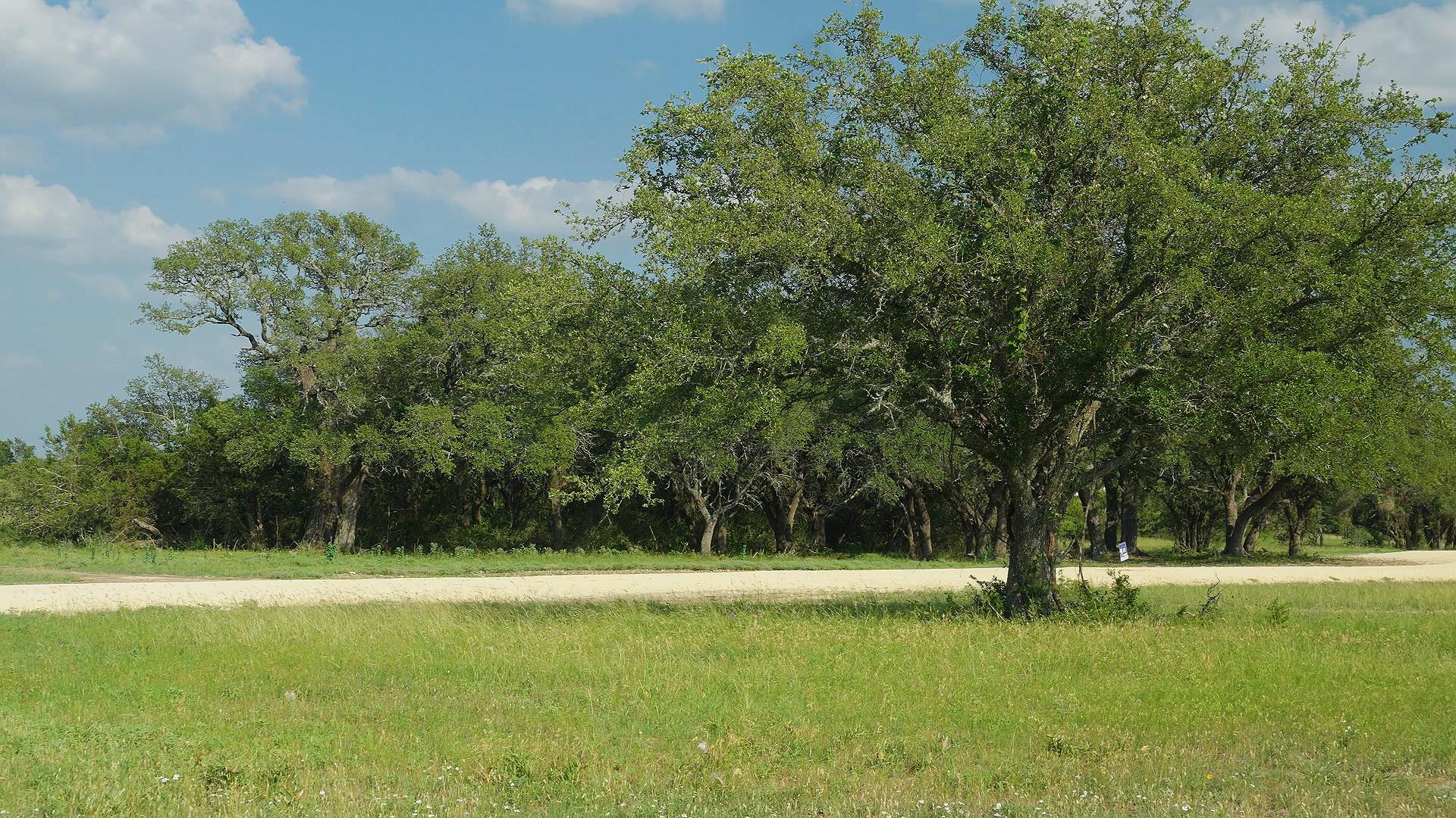 TBD Lot 5 County Rd 210, Bertram, TX 78605