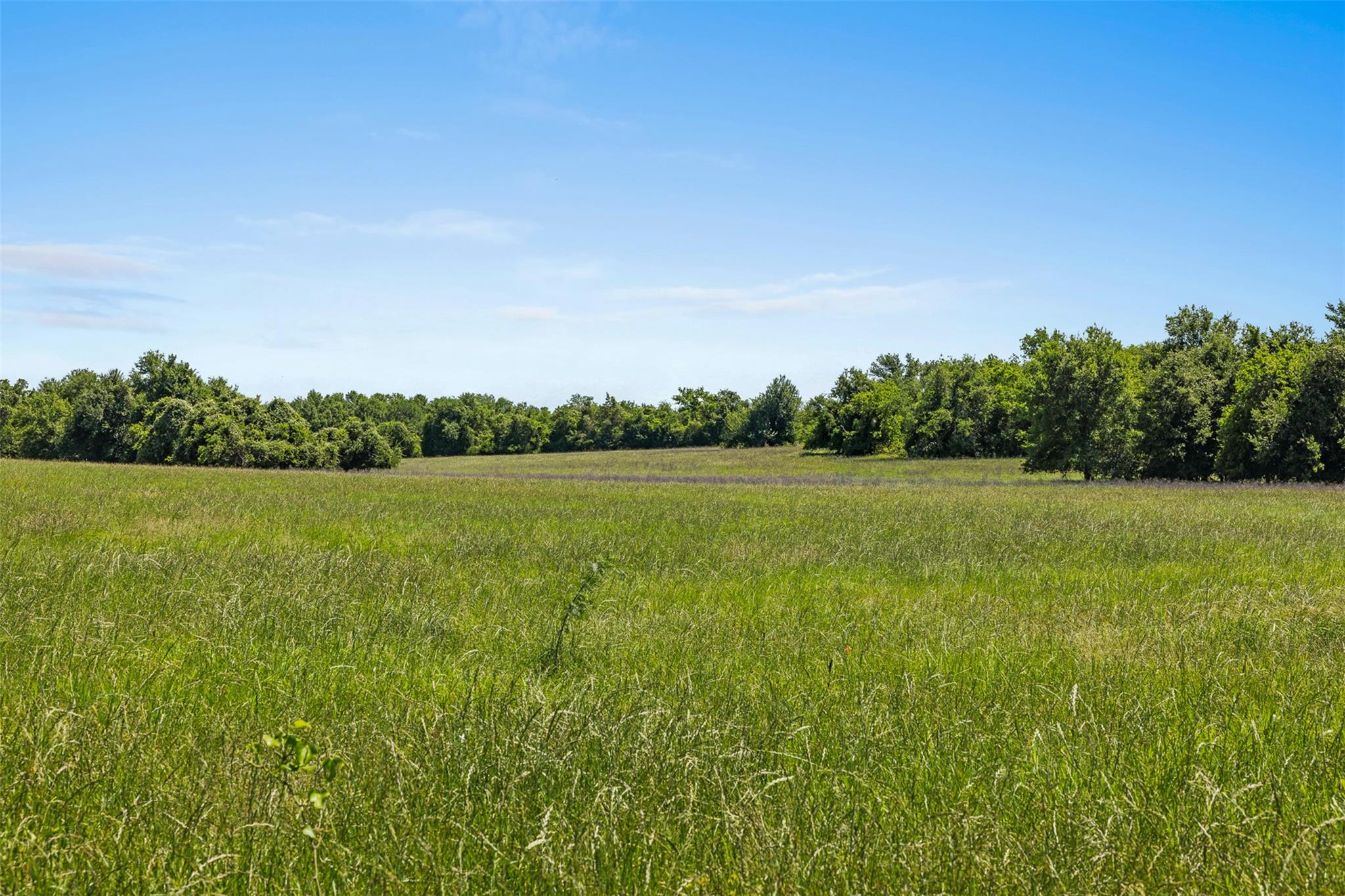 Lot 4 TBD CR 270, Cameron, TX 76520