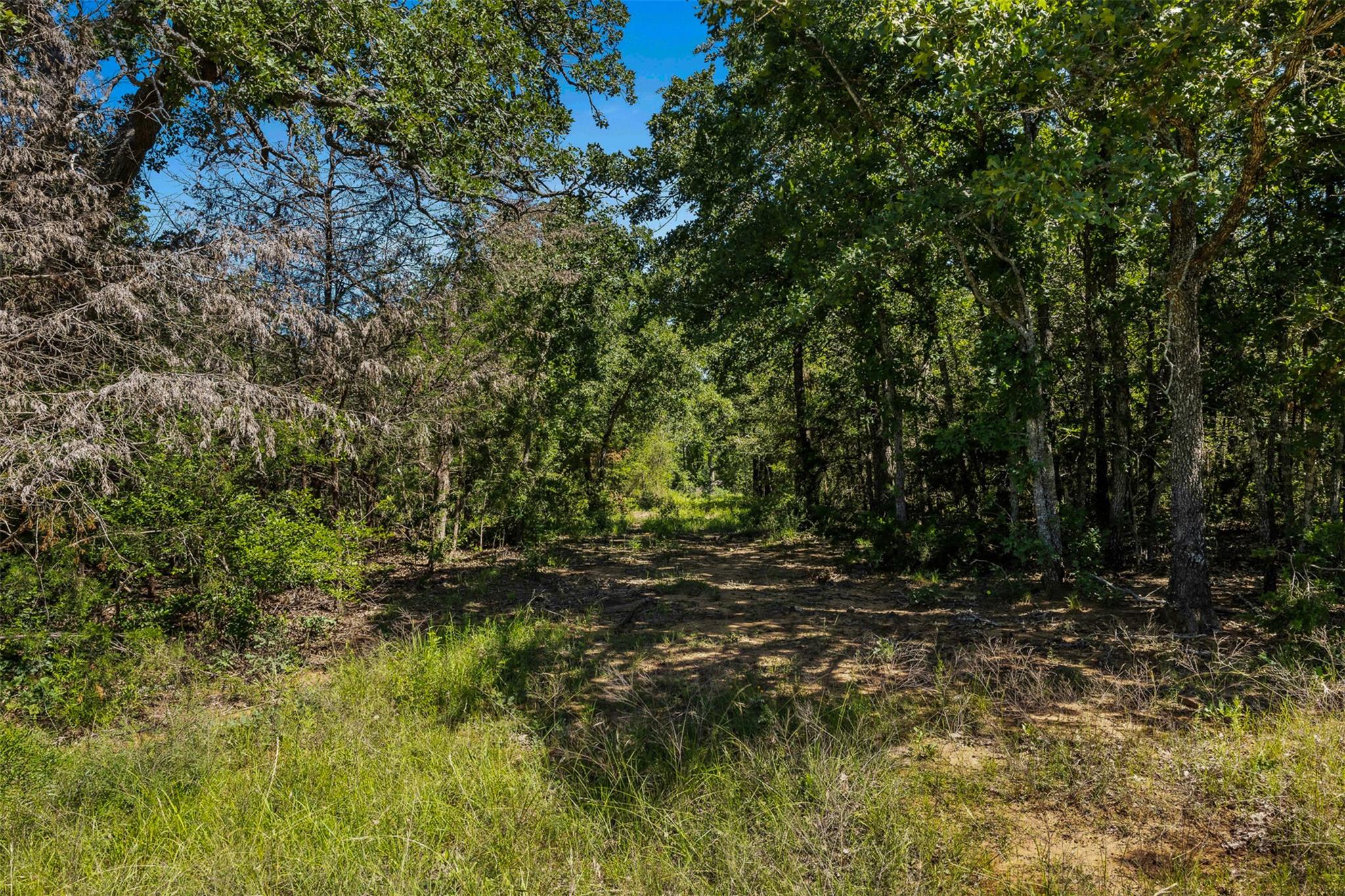 Lot 4 TBD CR 270, Cameron, TX 76520