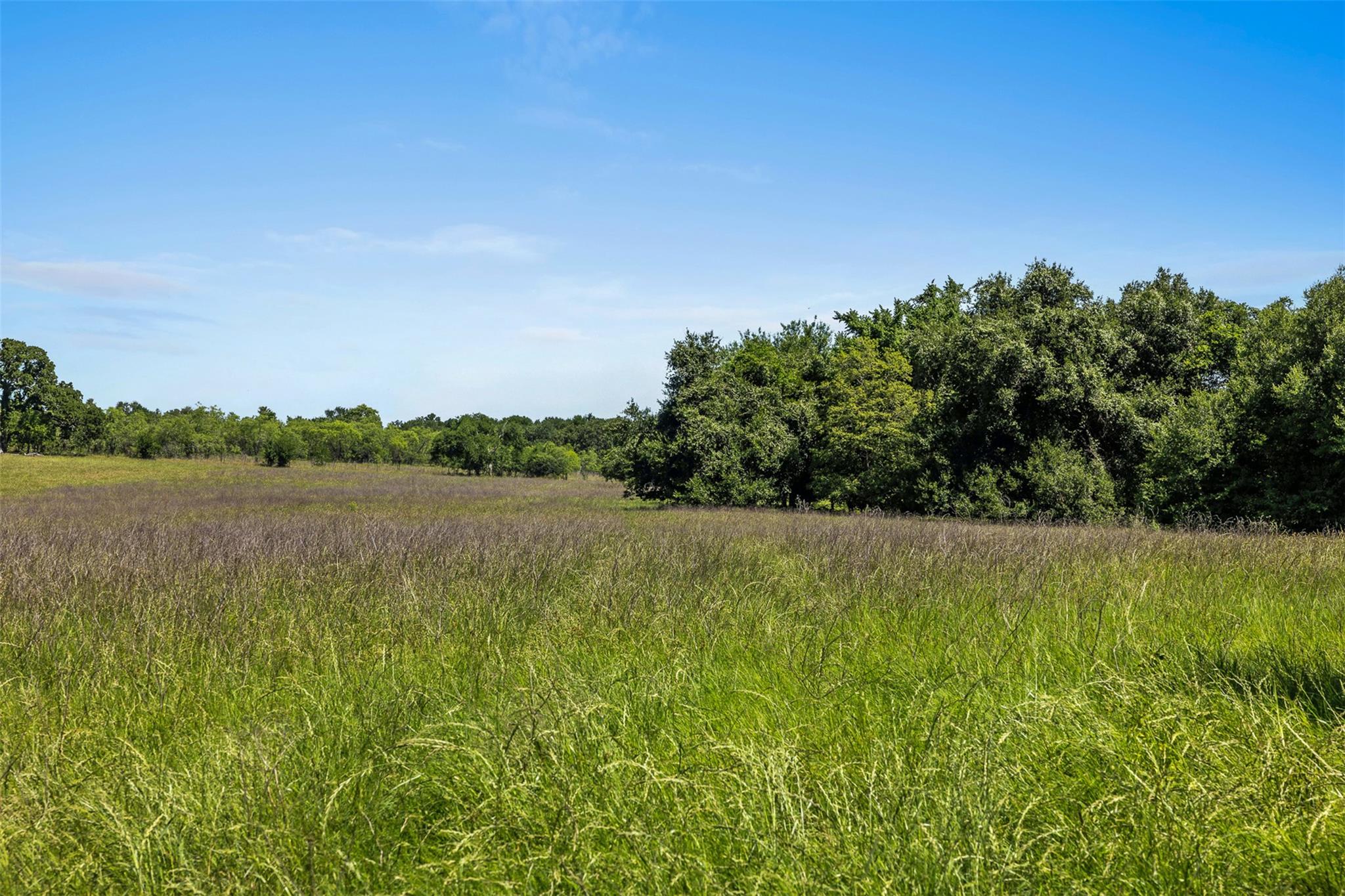 Lot 4 TBD CR 270, Cameron, TX 76520