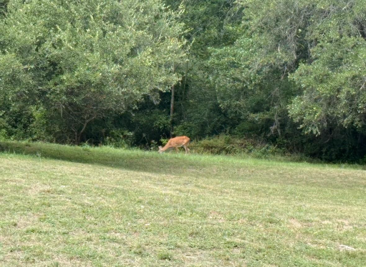 112 Kathleen Ave, La Grange, TX 78945