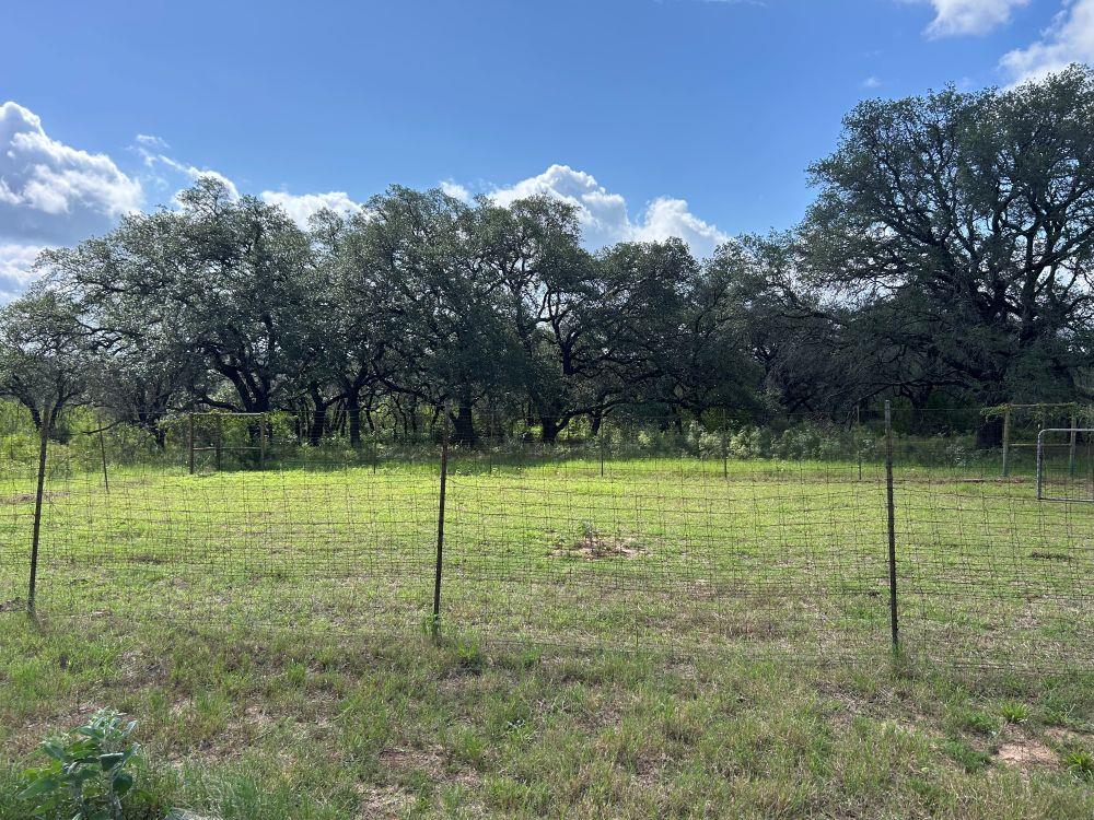 10 ACRES OLD FERRY Rd, Spicewood, TX 78669