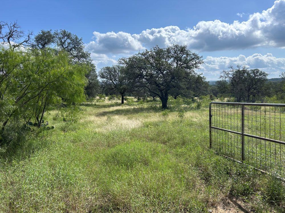 10 ACRES OLD FERRY Rd, Spicewood, TX 78669